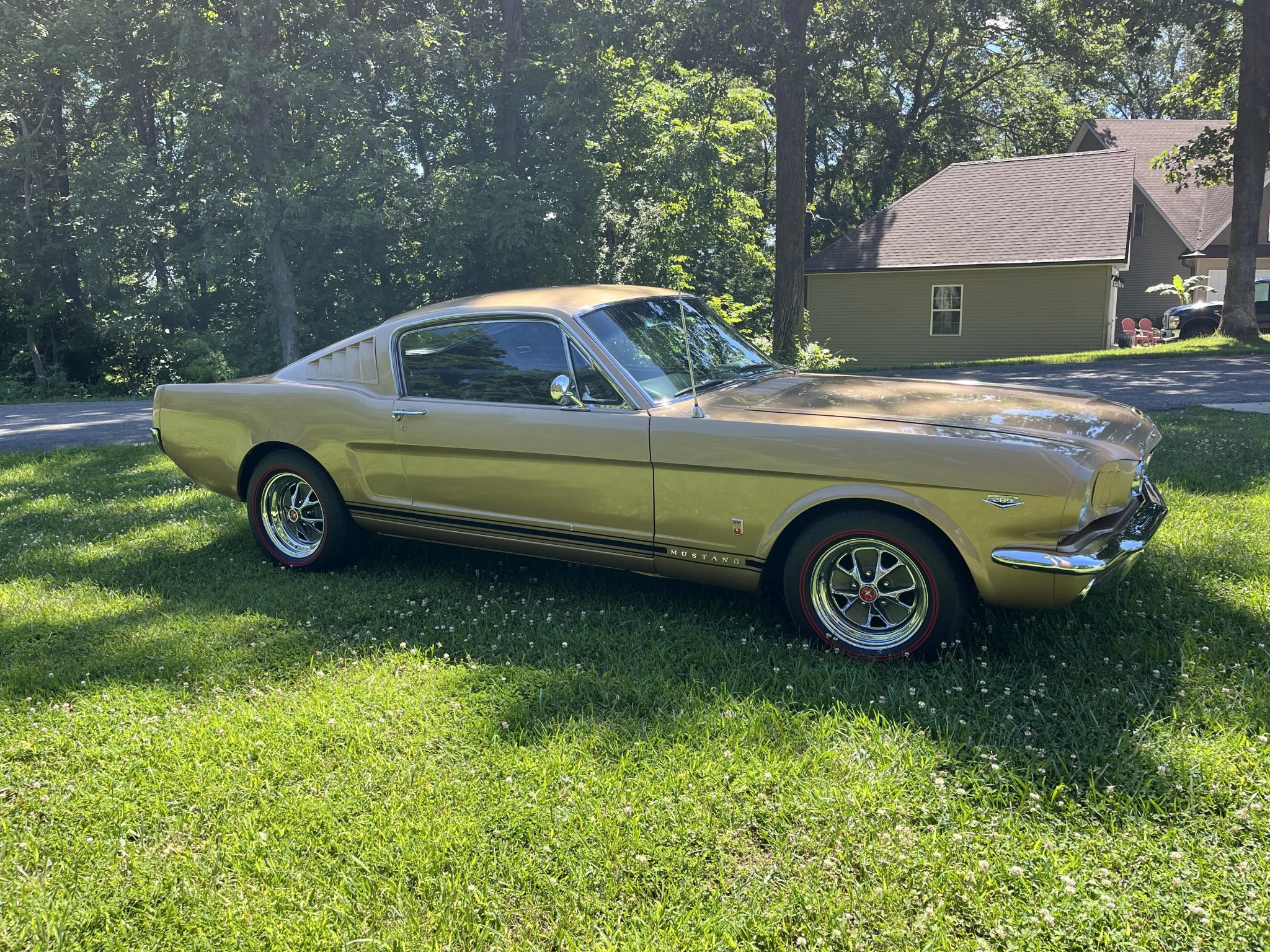 1966 Ford Mustang (1964.5-1966) for Sale – Iconic First Generation American Pony Car