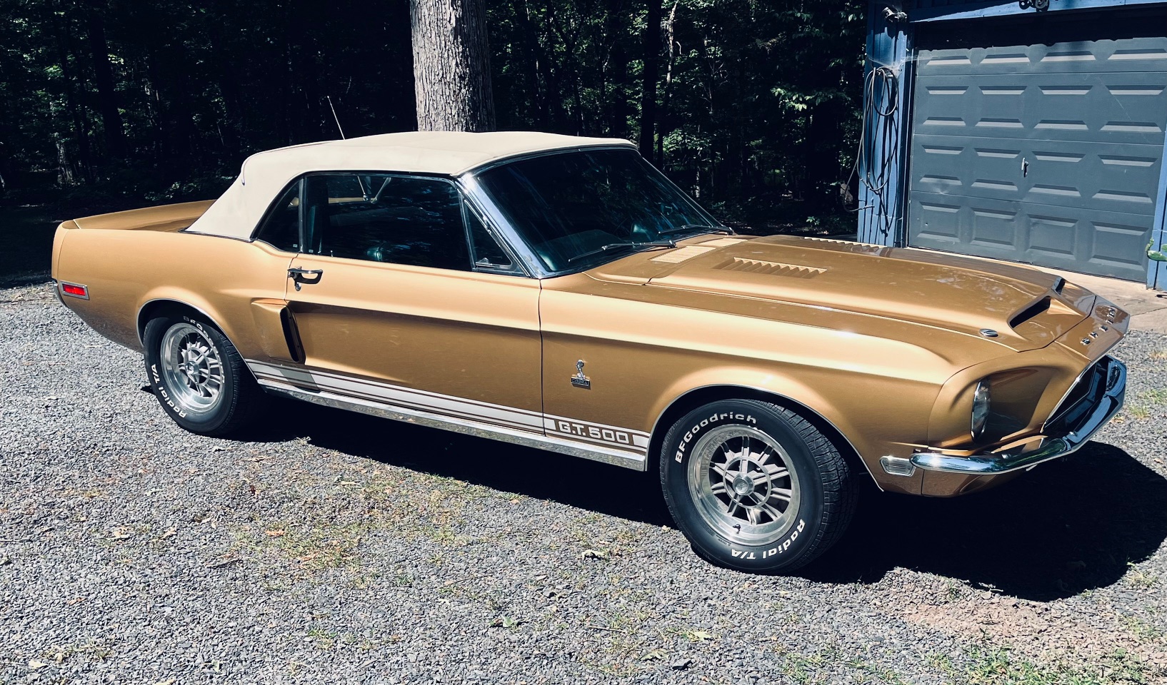 Shelby Mustang GT350 & GT500 1968 à vendre – Légendes Muscle Car Américaines