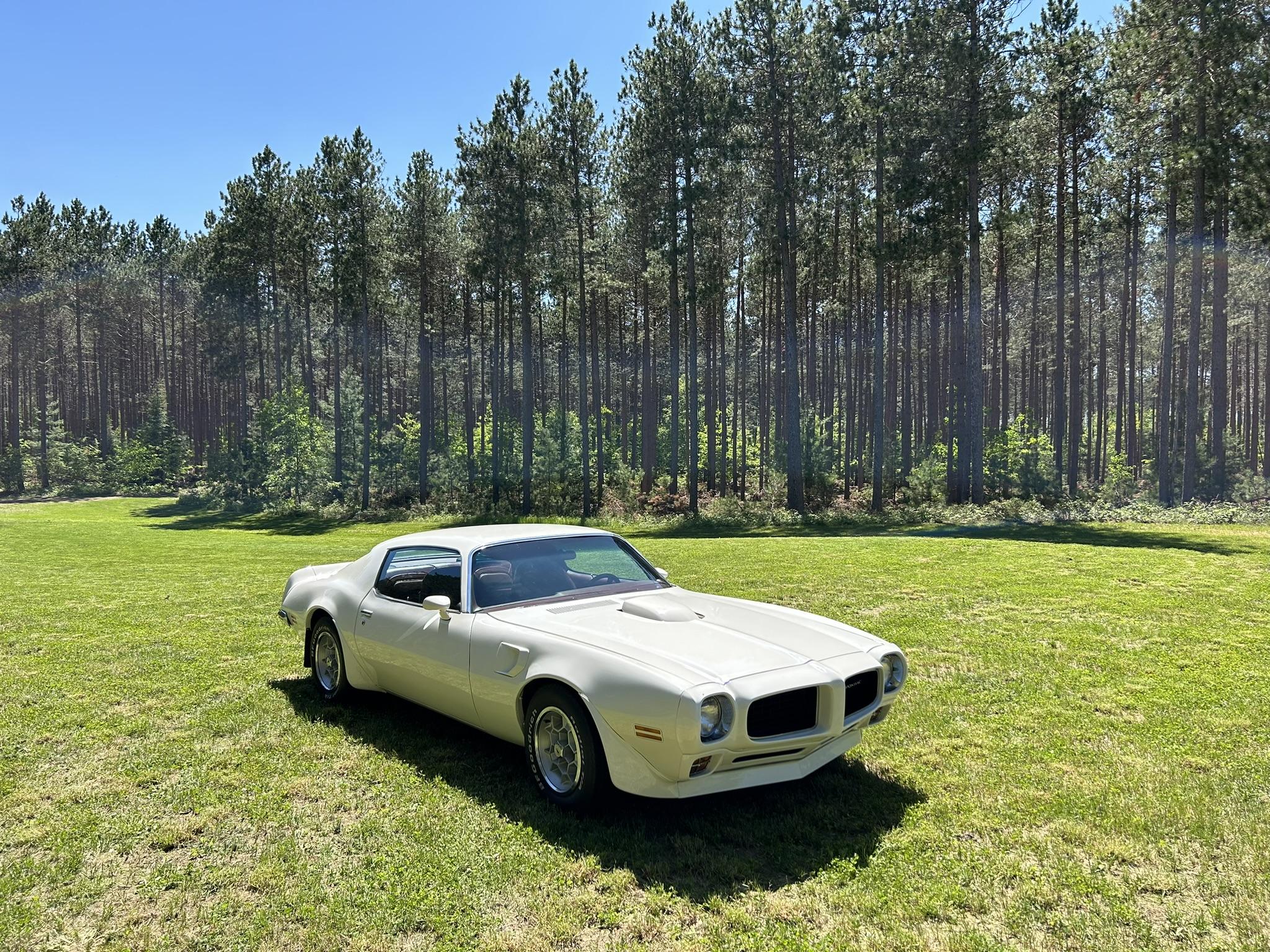 1973 Pontiac Firebird zu verkaufen – Klassische amerikanische Muscle Coupé Ikone