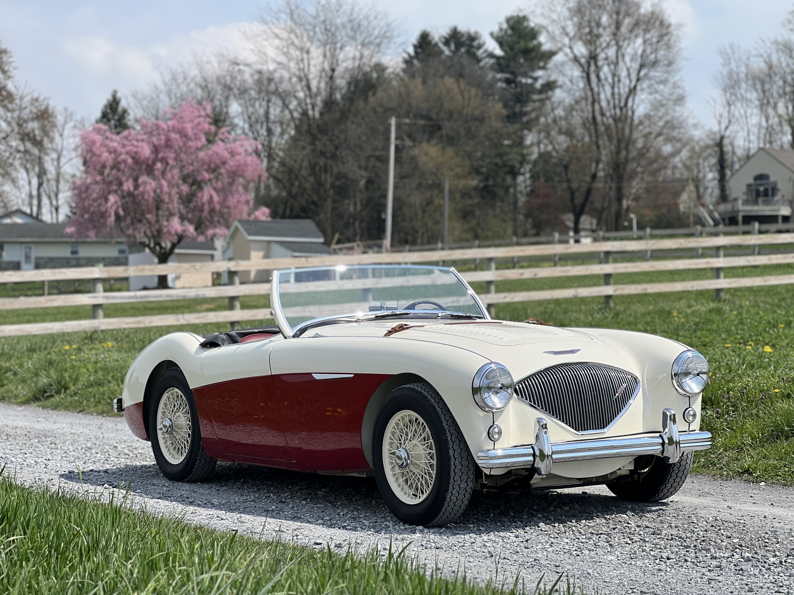 1955 Austin-Healey 100 for Sale – Classic British Roadster