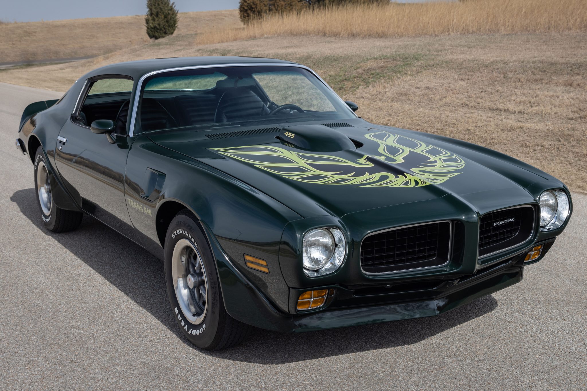 Pontiac Firebird 1973 à vendre – Coupé muscle américain classique
