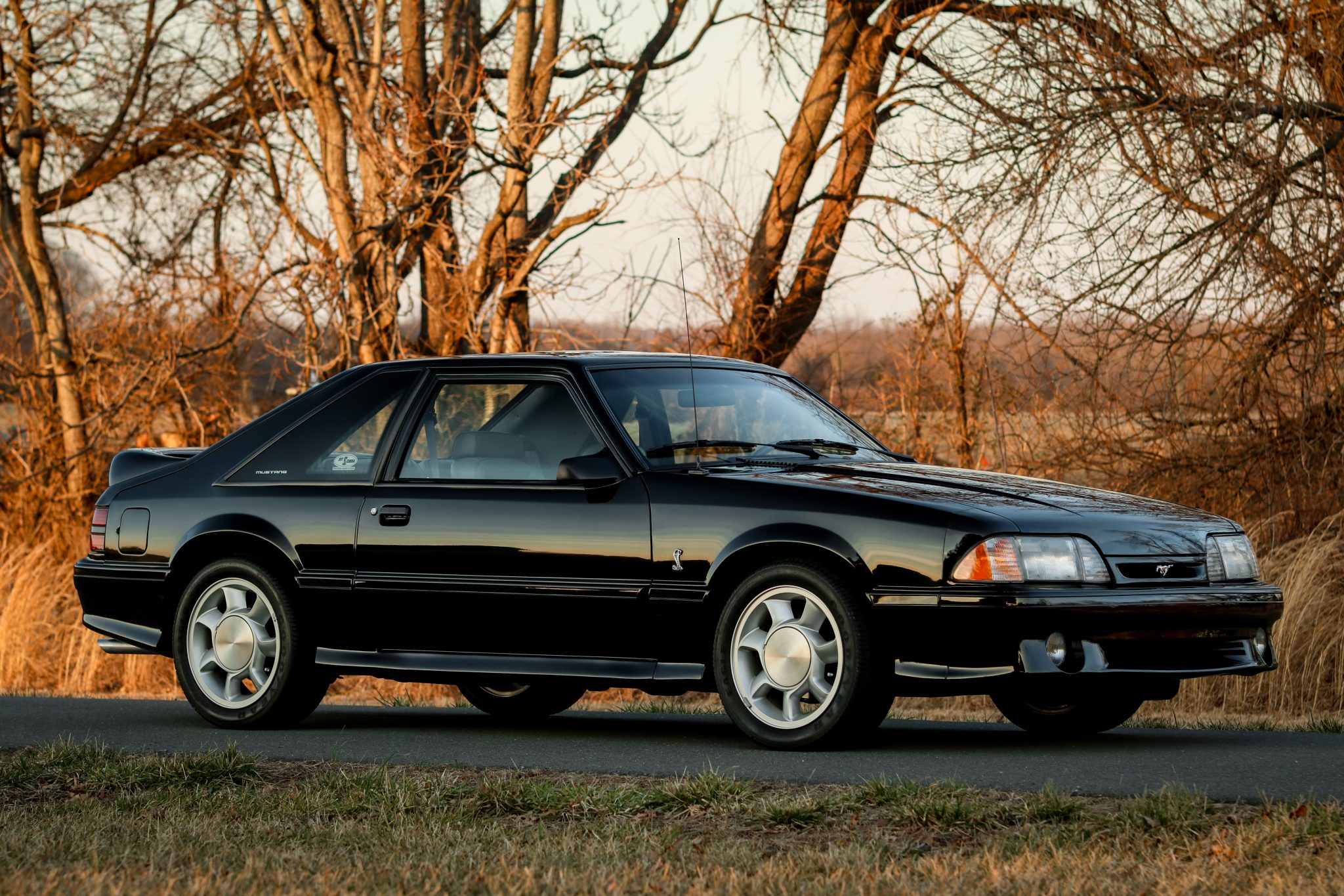 Ford Fox-Body Mustang 1993 à vendre – Icône américaine 5.0