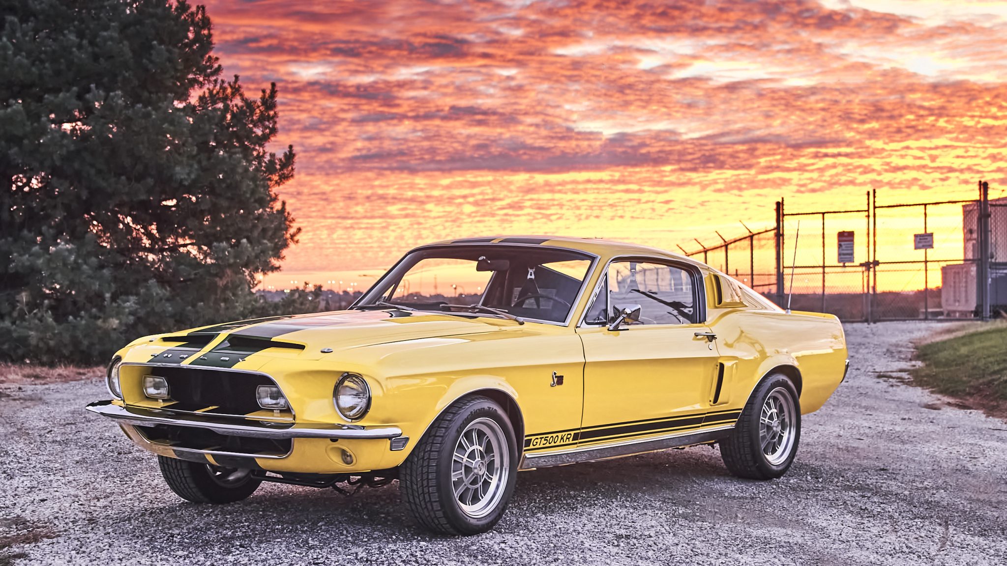 1968 Shelby Mustang GT350 & GT500 for Sale – American Muscle Icons with Legendary Performance