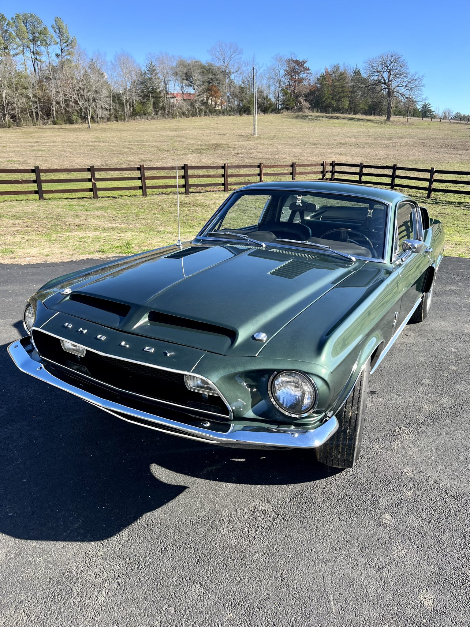 1968 Shelby Mustang GT350 & GT500 zu verkaufen – Amerikanische Performance-Legende mit Sammlerstatus