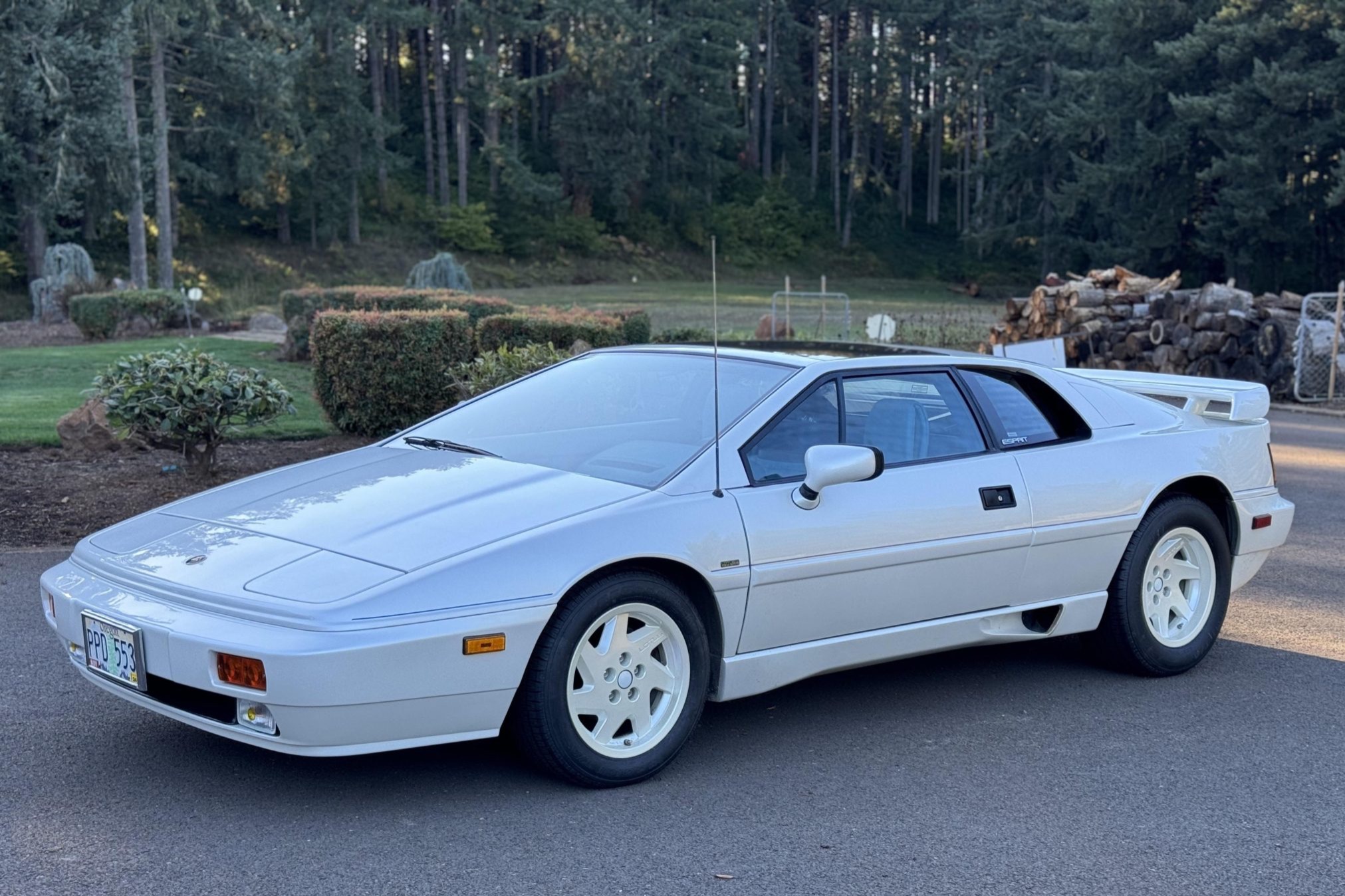 1988 Lotus Esprit zu verkaufen – Turbo-Ära, Leichtbau und Sammlerwert