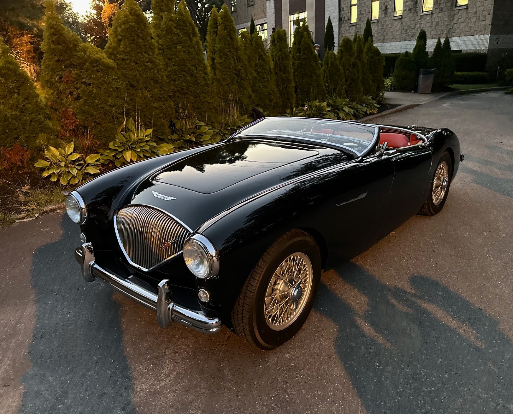 1954 Austin-Healey 100 zu verkaufen – Britischer Roadster mit Sammlerwert