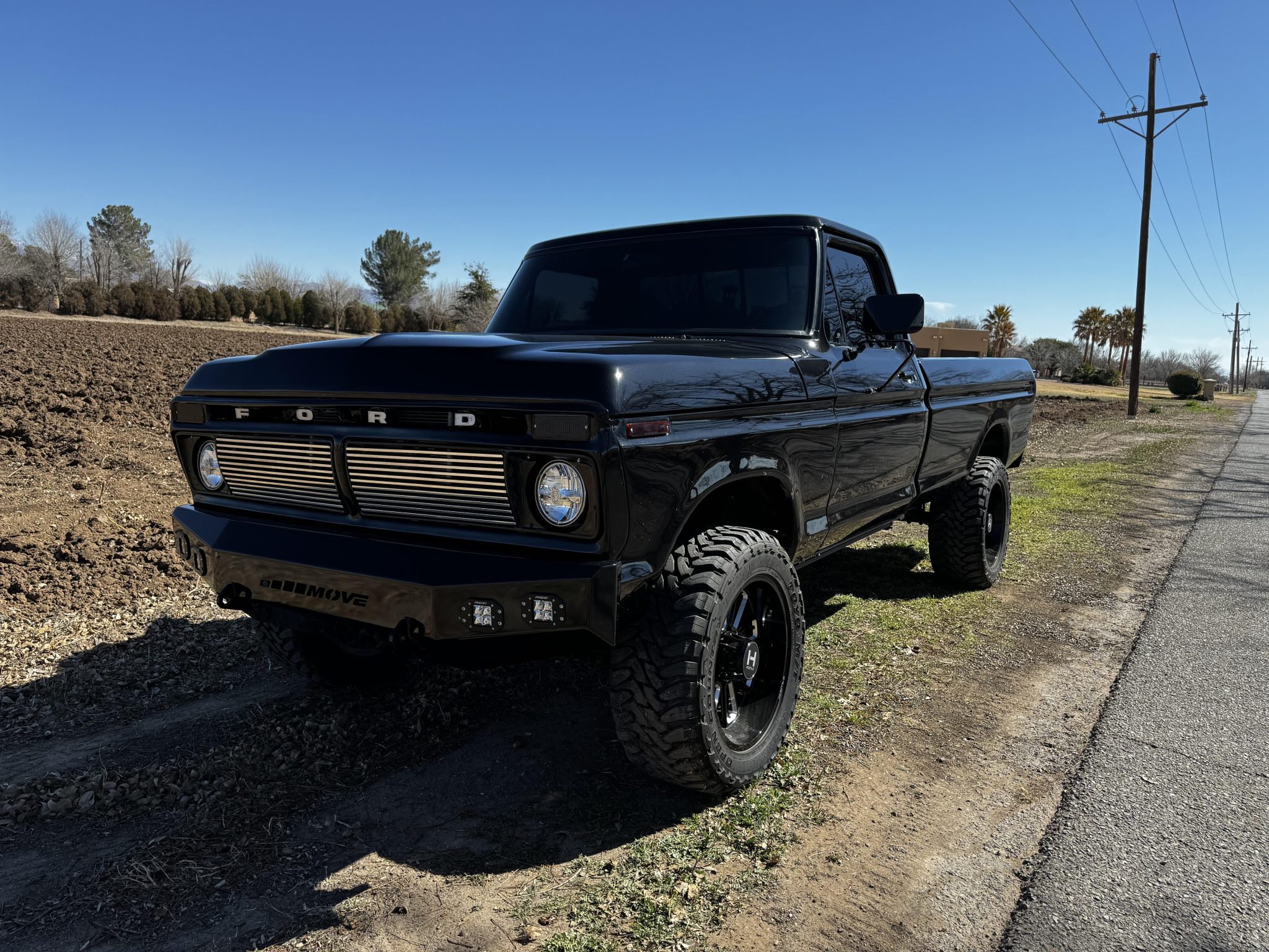 Ford F-Series 1975 à vendre – Pick-up Dentside classique