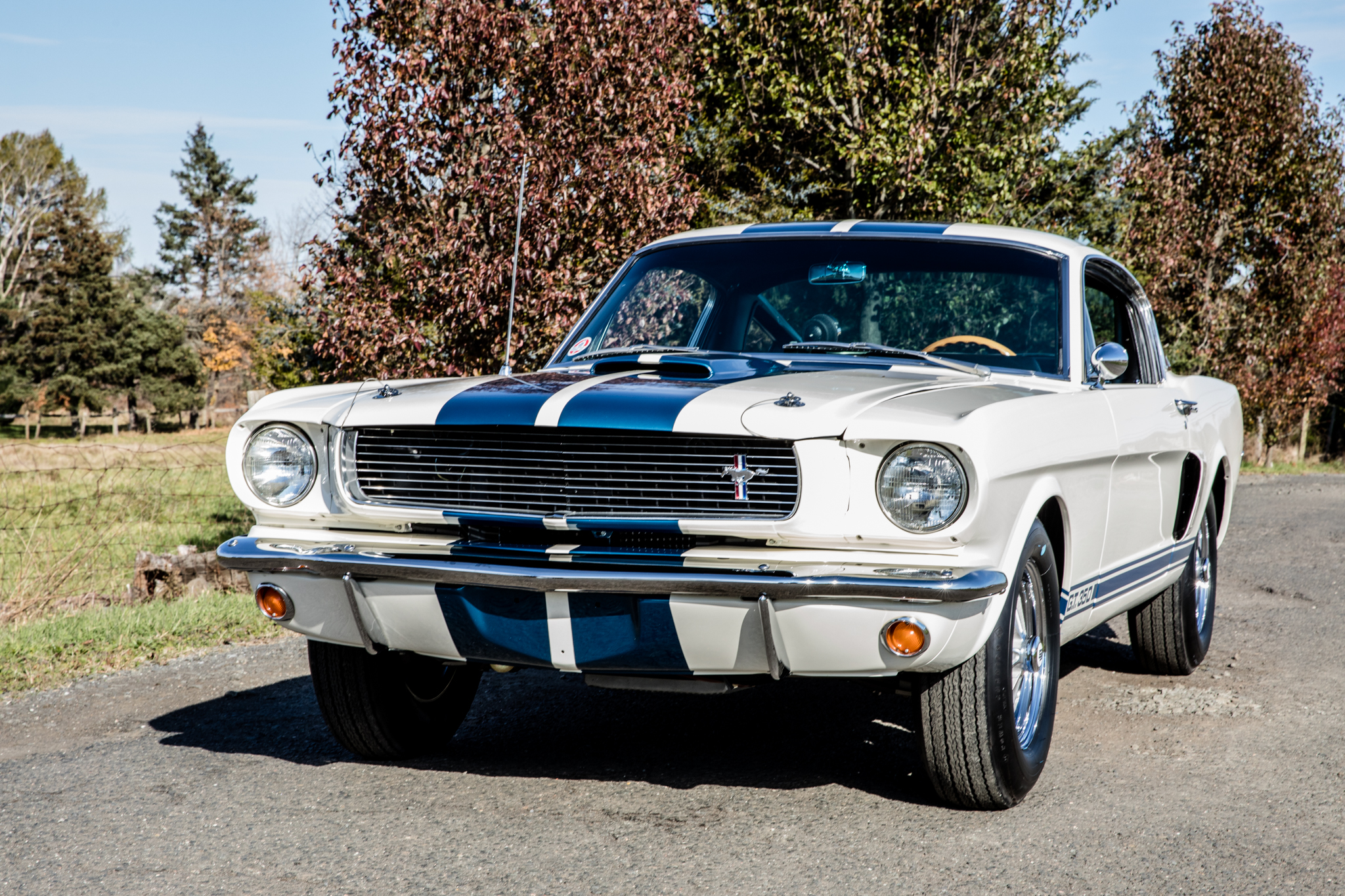 1966 Shelby Mustang GT350 & GT500 for Sale – Classic Shelby Performance Icon