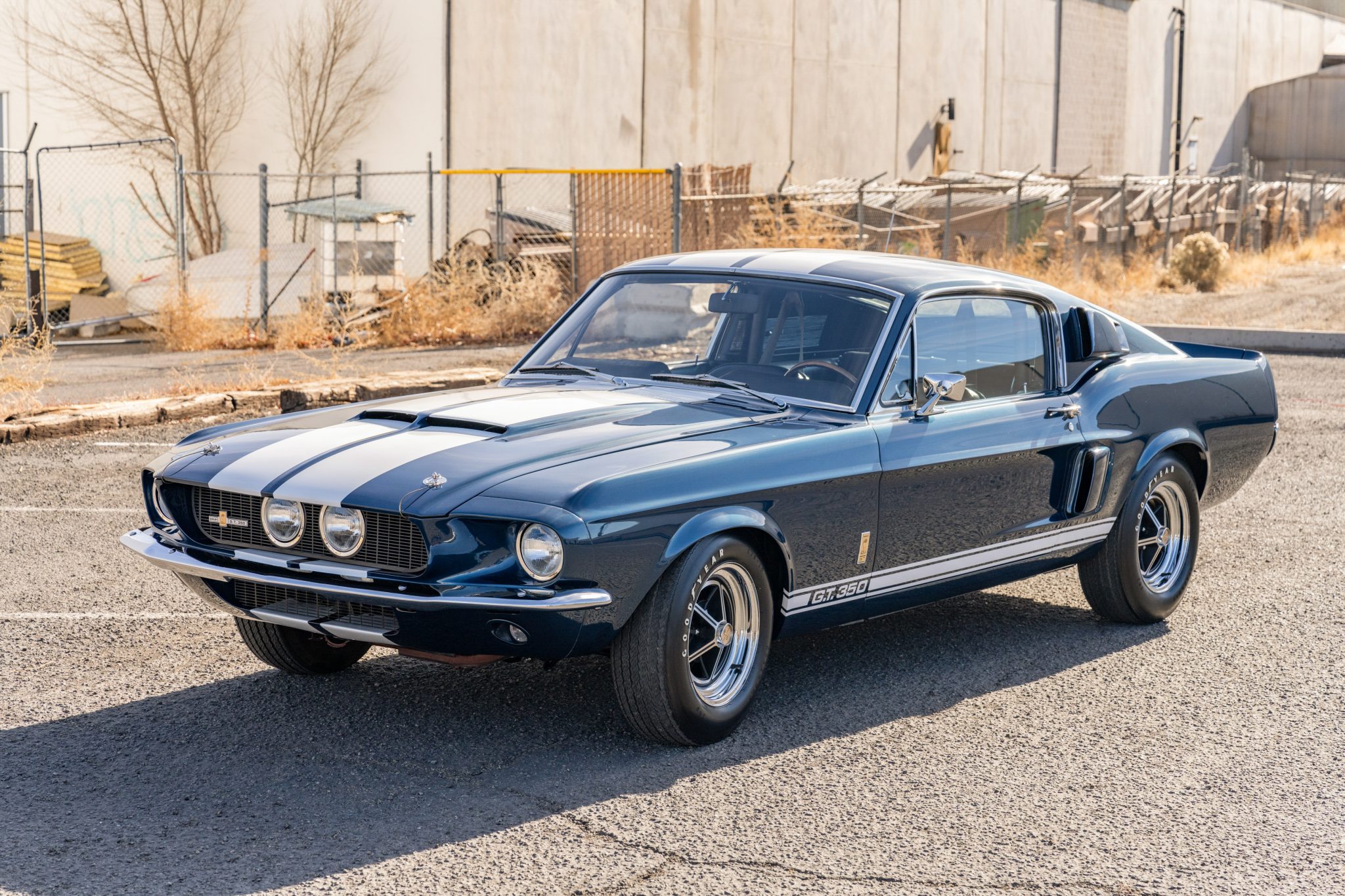 Shelby Mustang GT350 & GT500 1967 zu verkaufen – Amerikanische Muscle-Legenden
