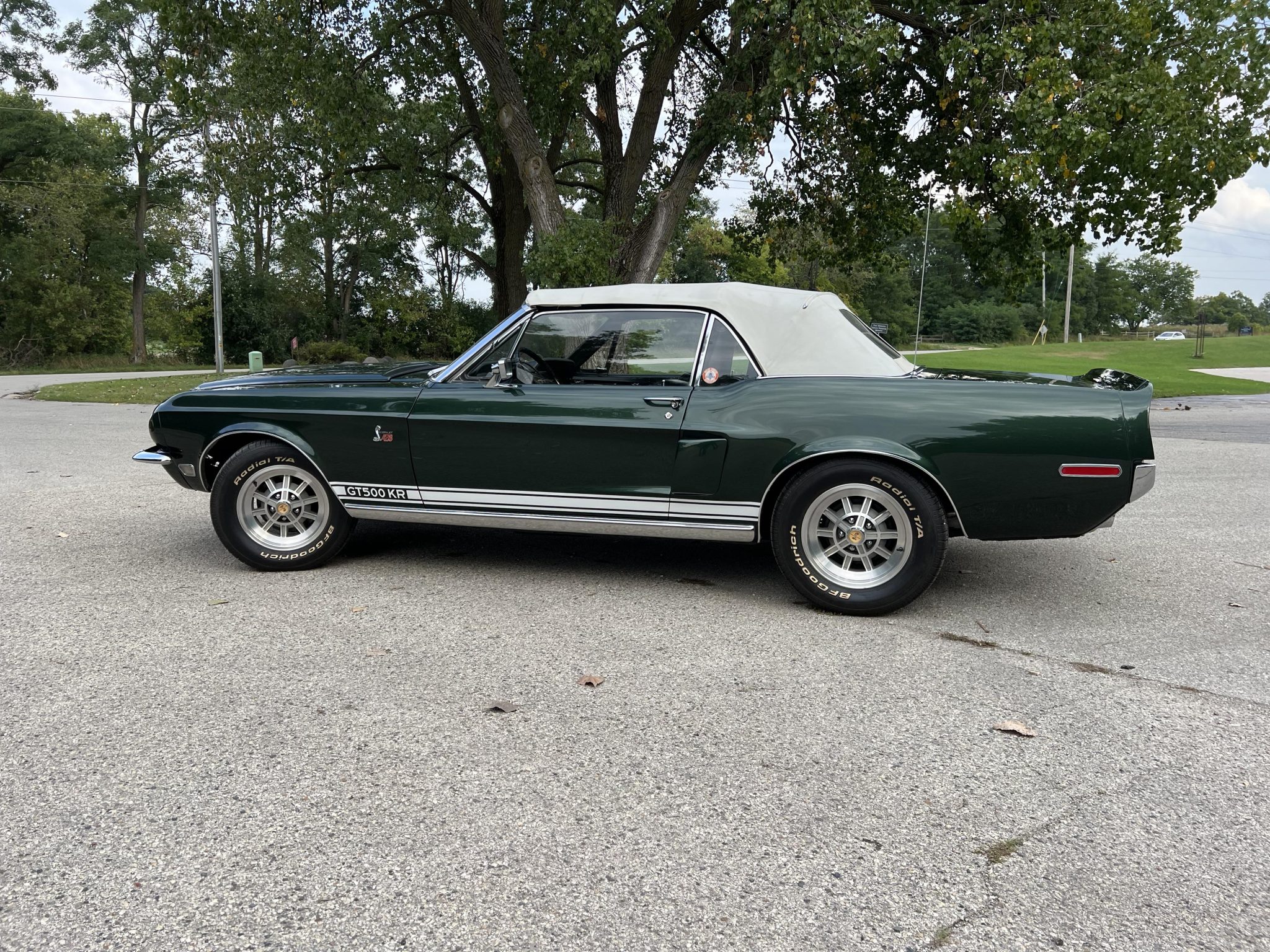 Shelby Mustang GT350 & GT500 1968 zu verkaufen – Klassische amerikanische Shelby-Ikonen