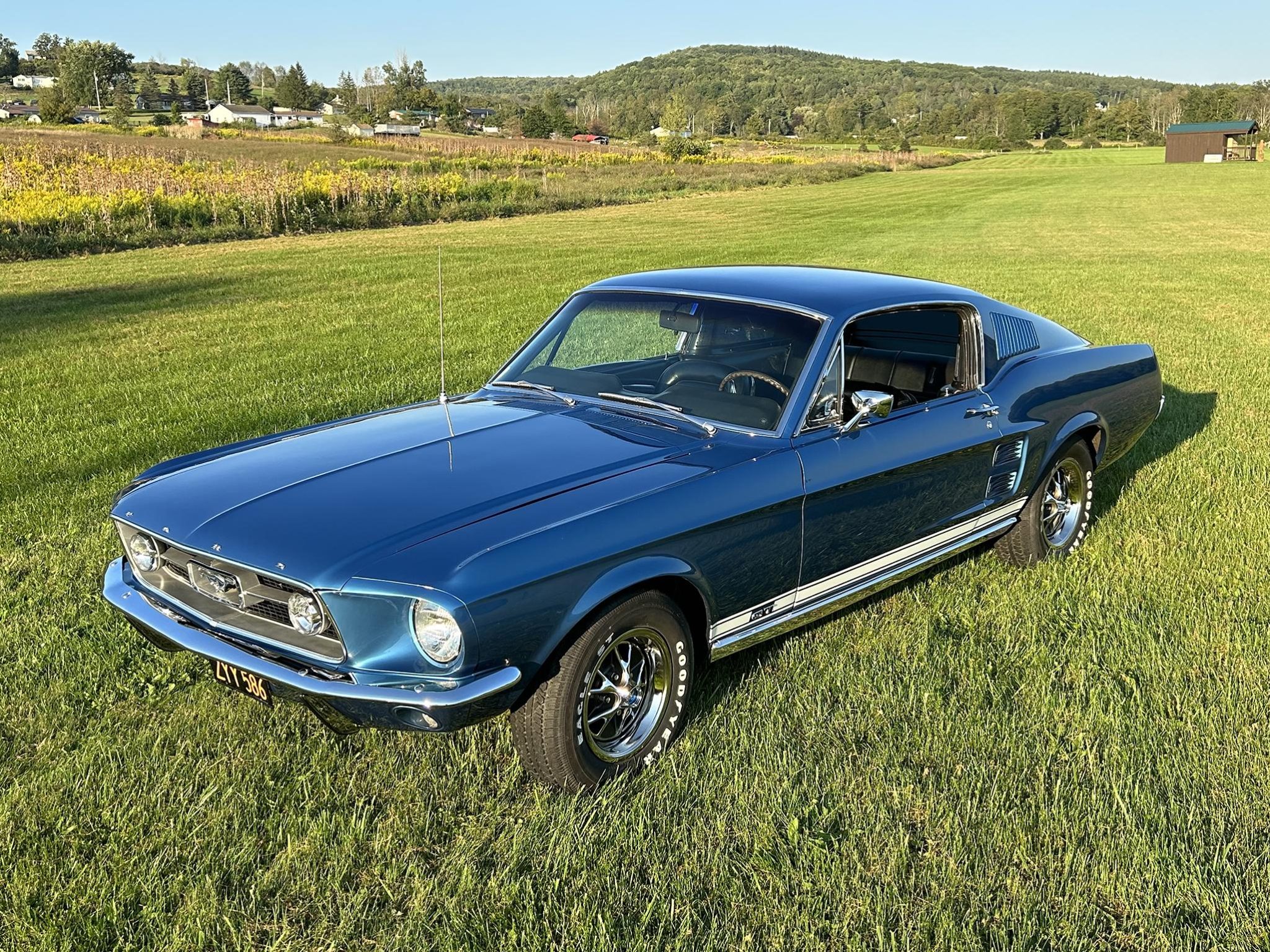1967 Ford Mustang for Sale – Classic American Pony Car Icon