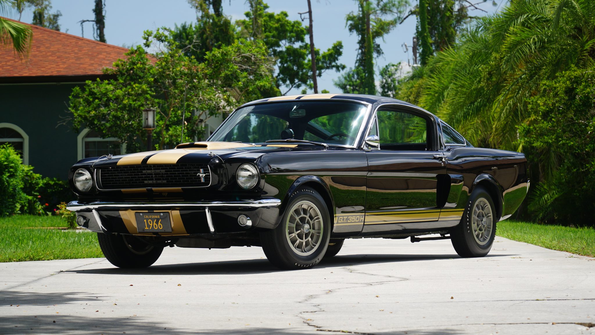 1966 Shelby Mustang GT350 & GT500 for Sale – Black and Gold 289 V8 Classic