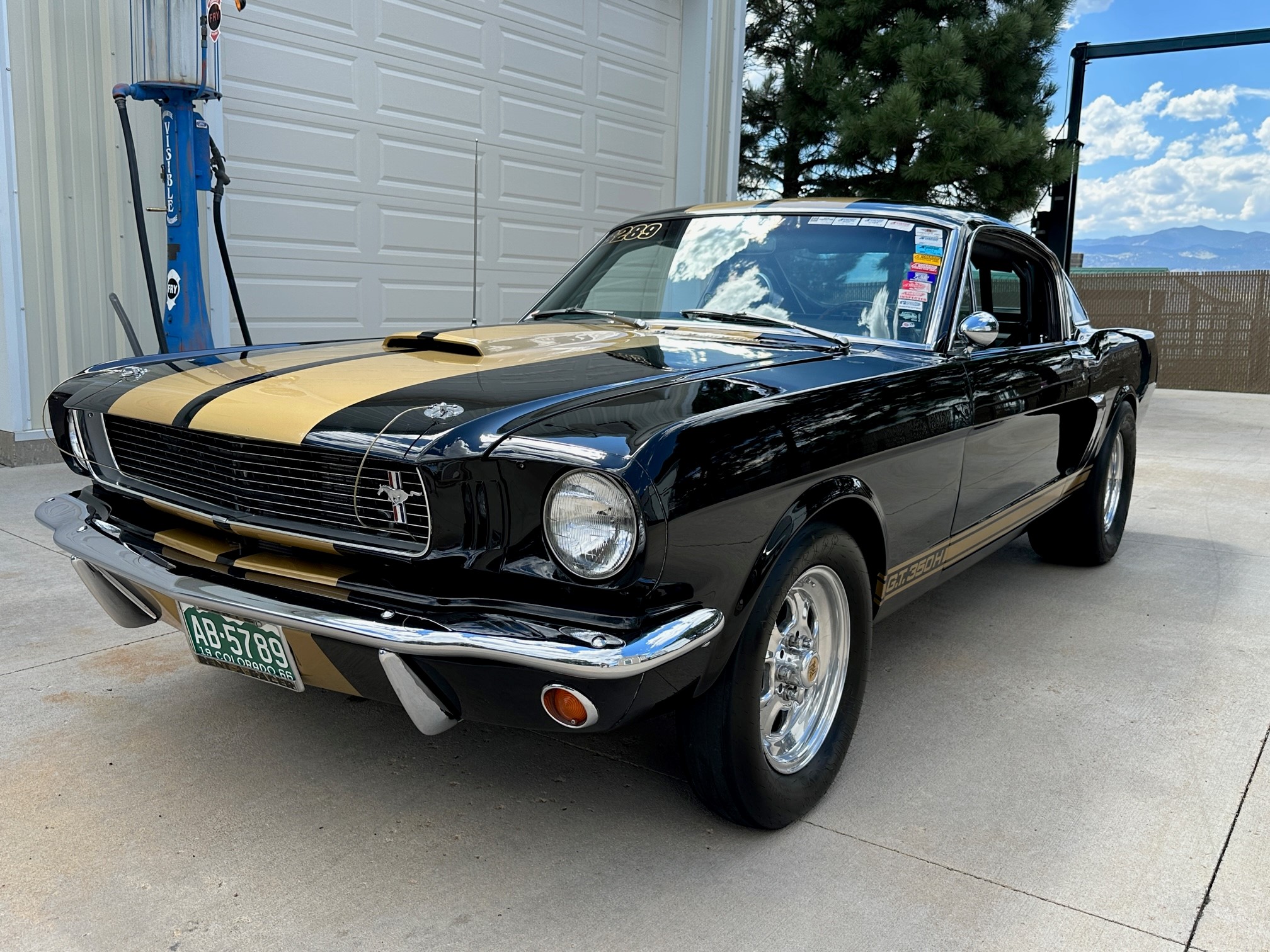 1966 Shelby Mustang GT350 & GT500 for Sale – Black and Gold 347ci Drag Build