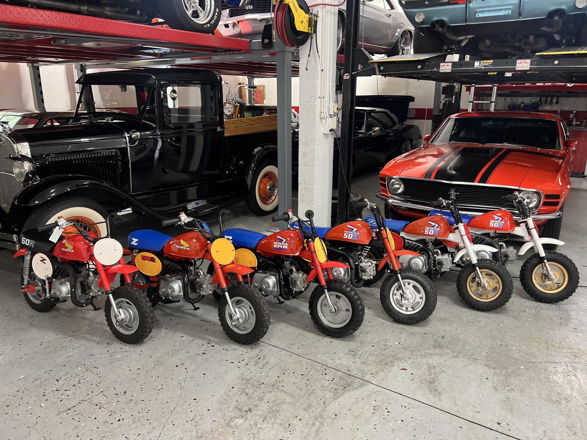 Lot of Six Honda Z50Rs for Sale – Classic 49cc Mini-Bike Collection