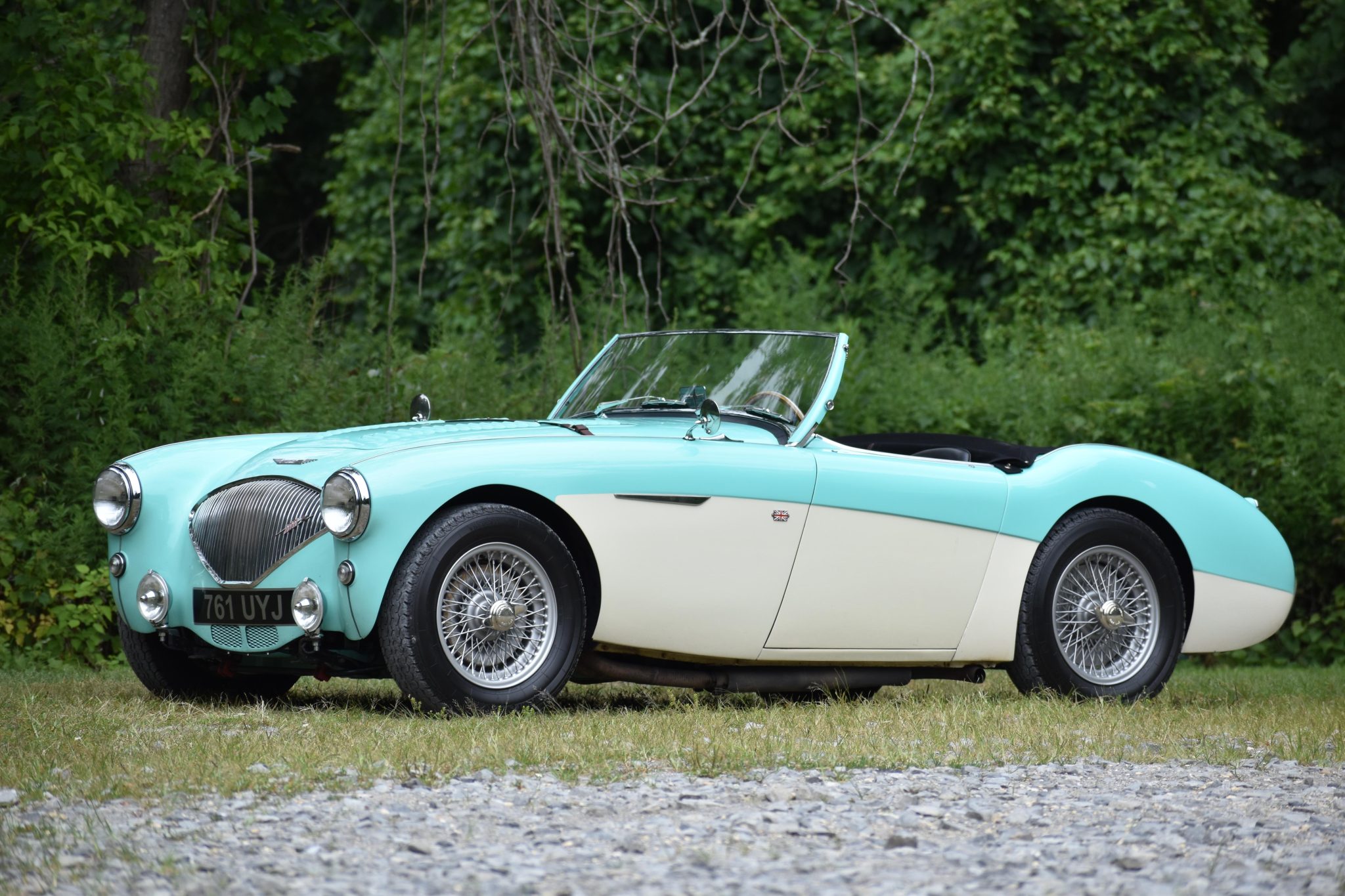 Austin-Healey 100 1956 à vendre – Roadster Florida Green à cinq rapports