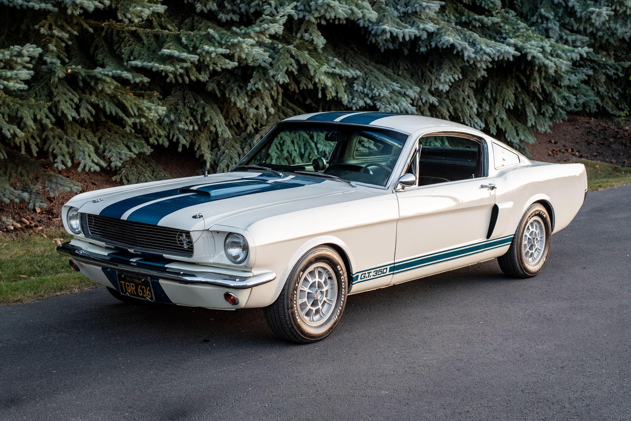 1966 Shelby Mustang GT350 & GT500 zu verkaufen – Wimbledon-White-HiPo-V8 mit Automatik