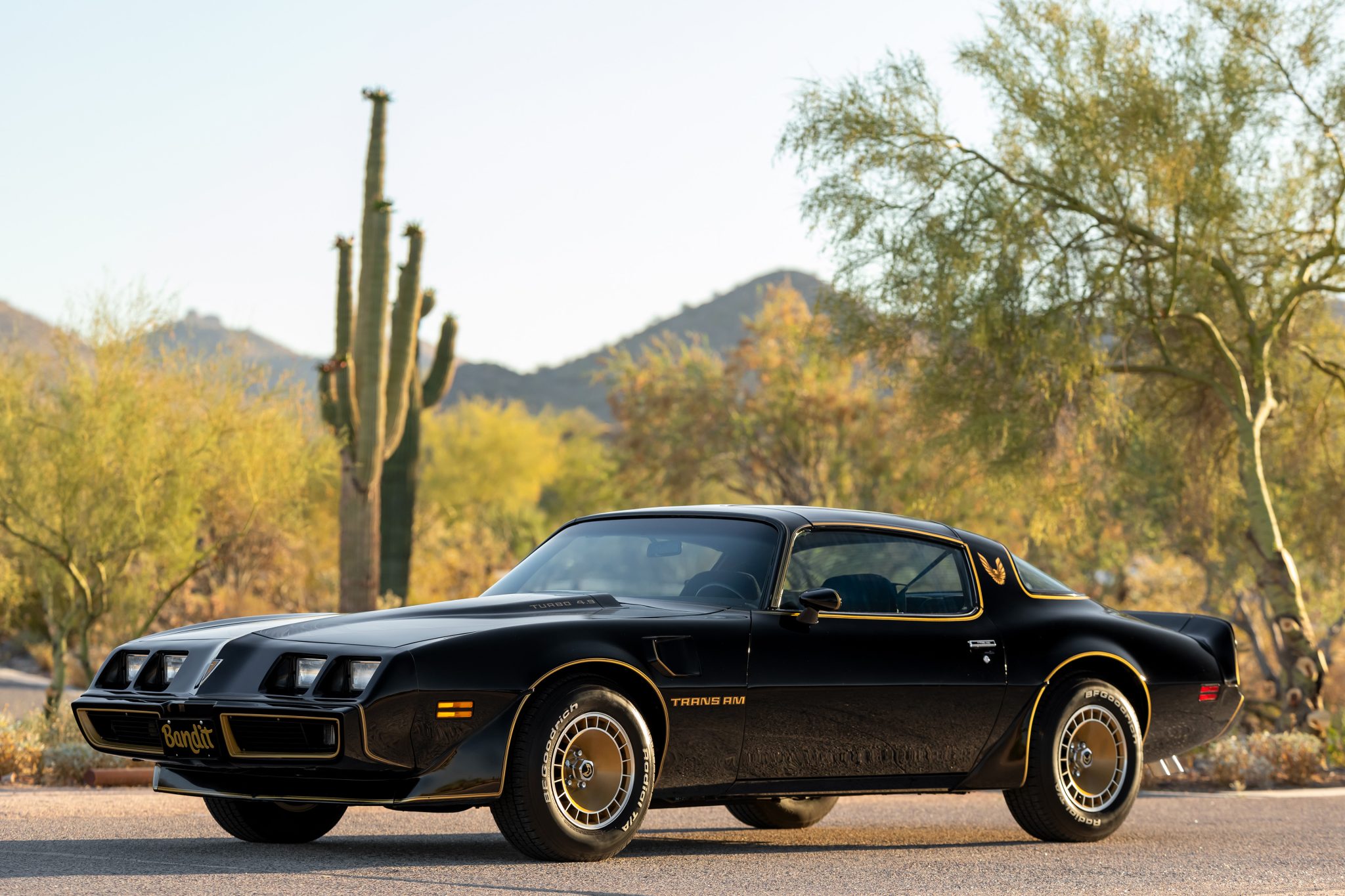 Pontiac Firebird (1970-1981) 1980 à vendre – Special Edition noire et or à V8 turbo