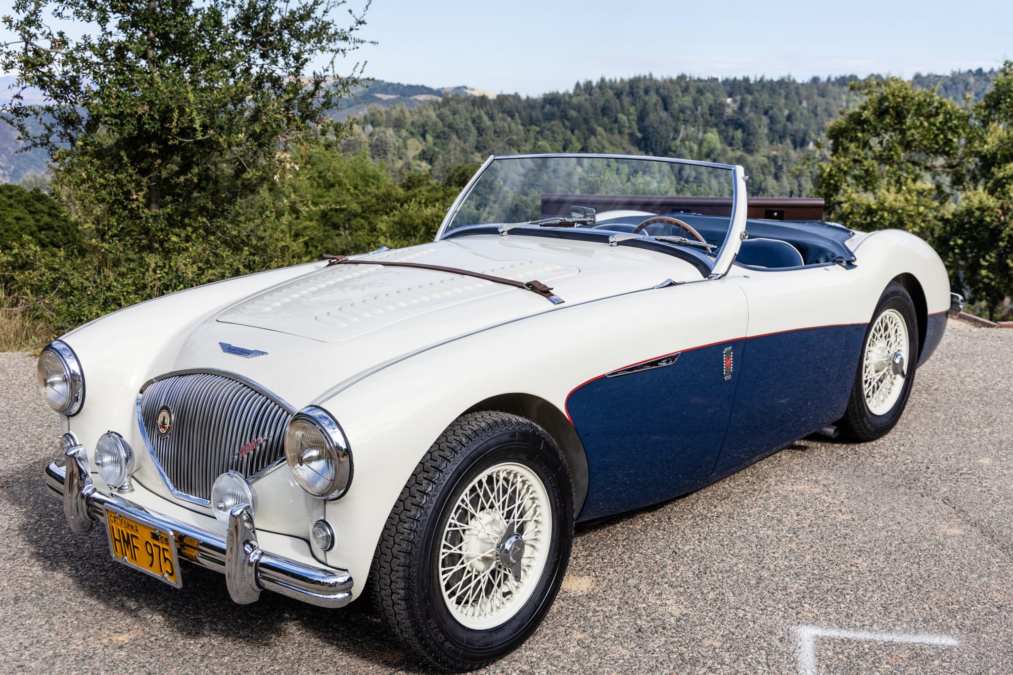 Austin-Healey 100 1956 à vendre – Roadster Healey Blue à moteur 2,7 litres