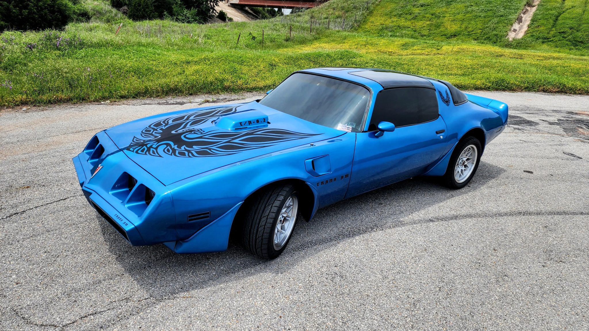 1979 Pontiac Firebird (1970-1981) for Sale – Blue 502ci V8 Pro-Touring Coupe