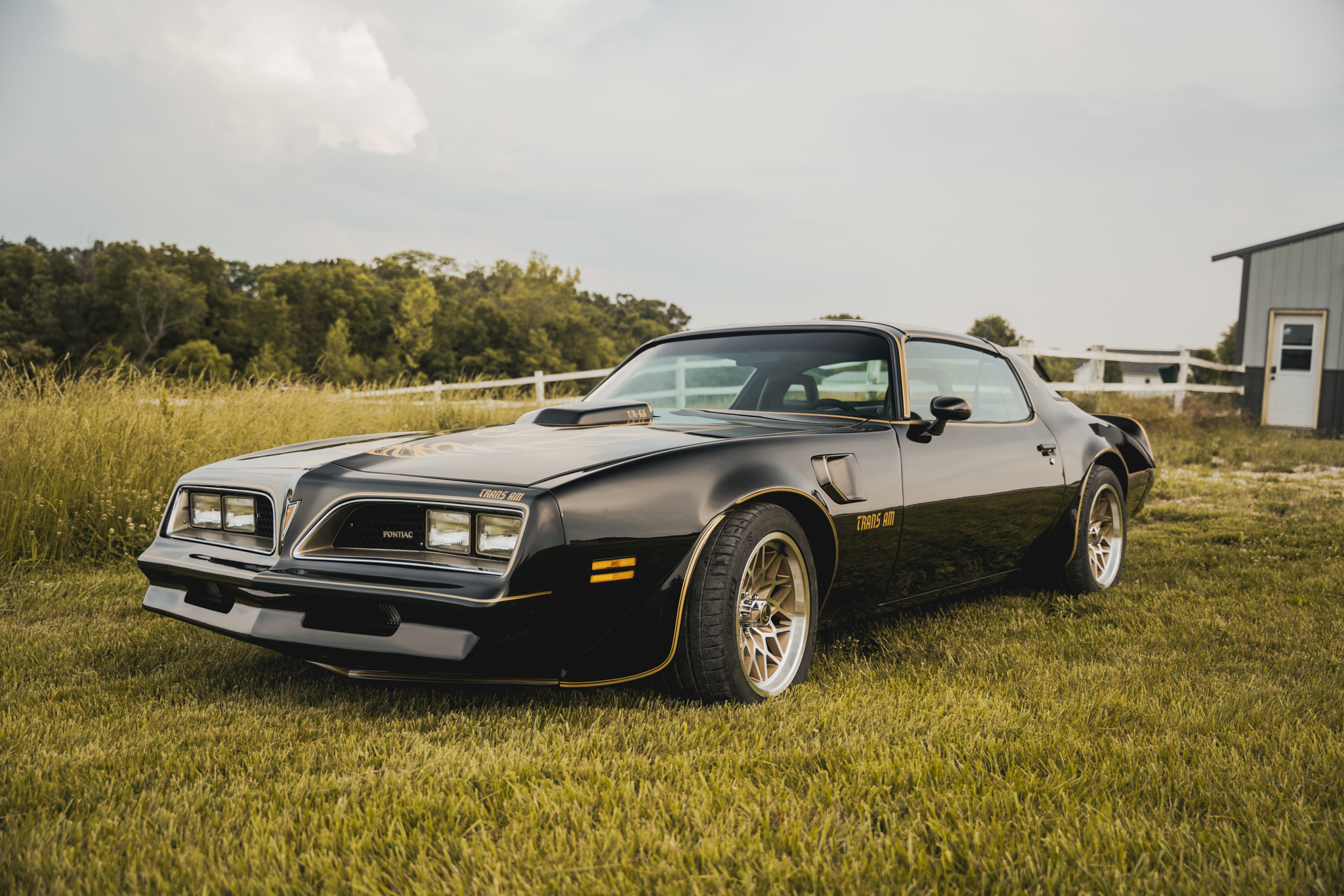 1977 Pontiac Firebird (1970-1981) zu verkaufen – Schwarz-Goldener 417ci-LS3-Restomod