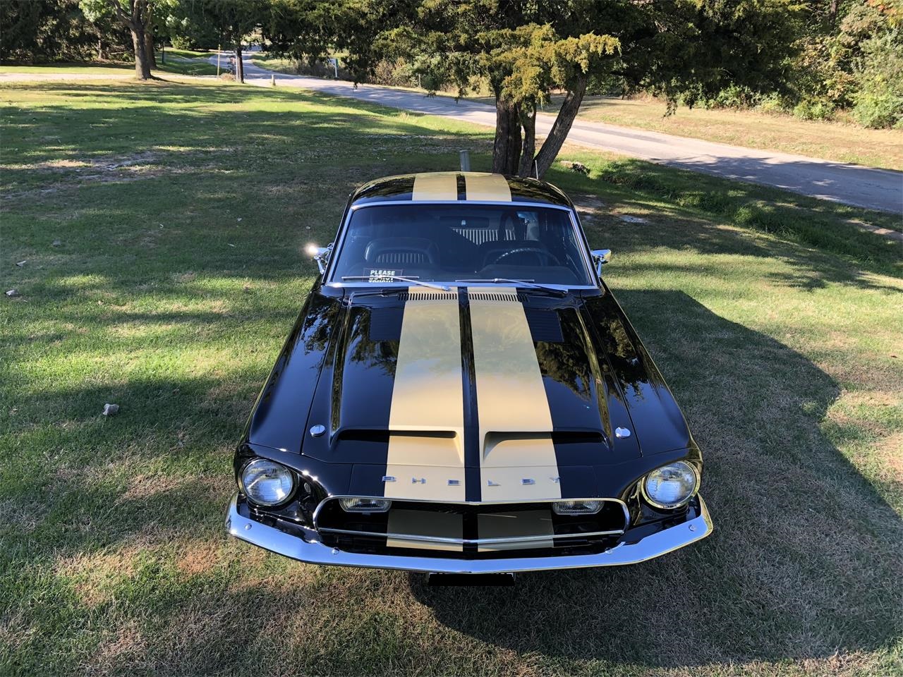 Shelby GT350