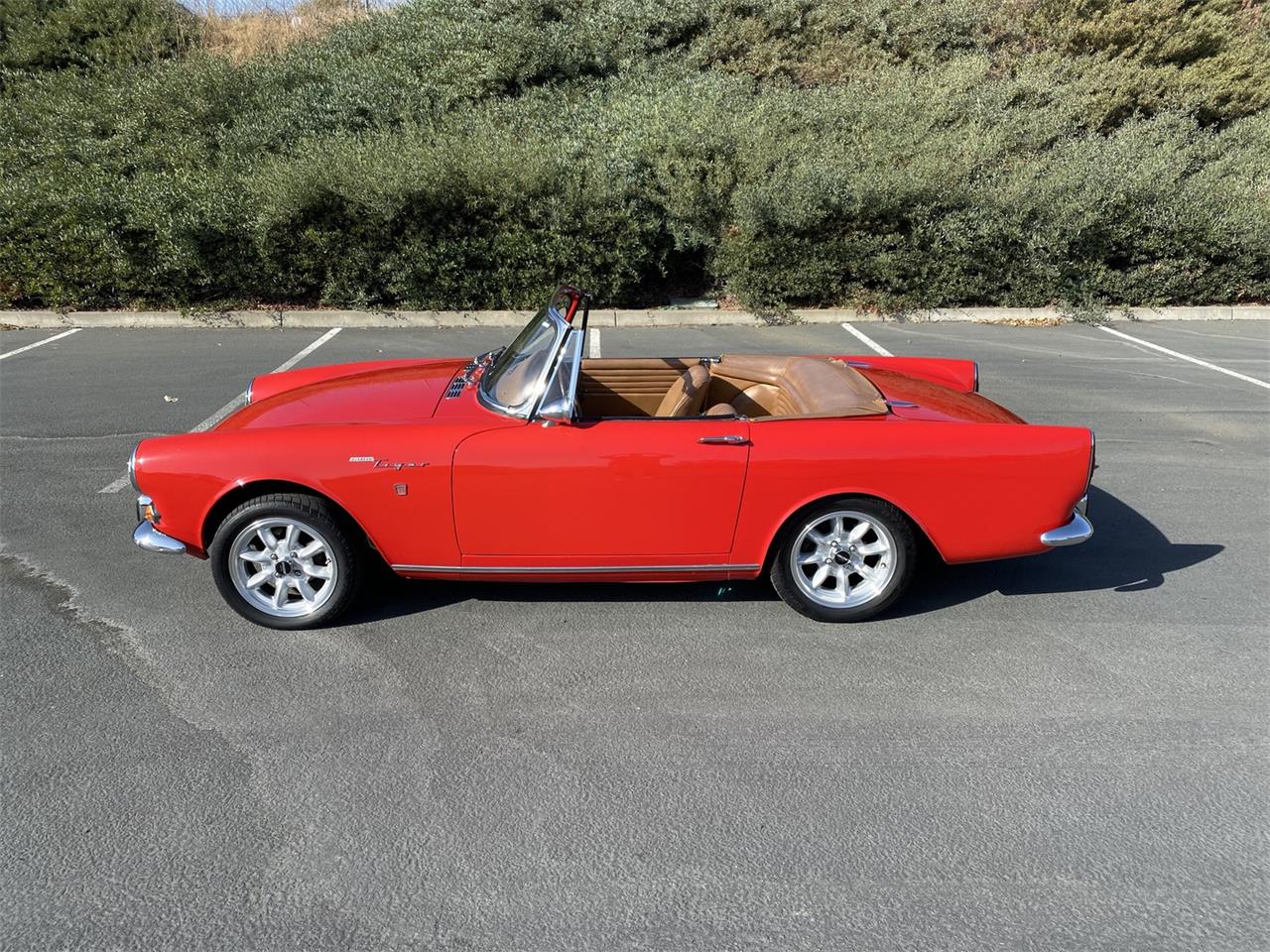 Sunbeam Tiger