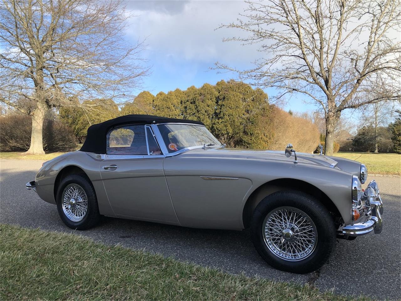 Austin Healey 3000 Mark III BJ8