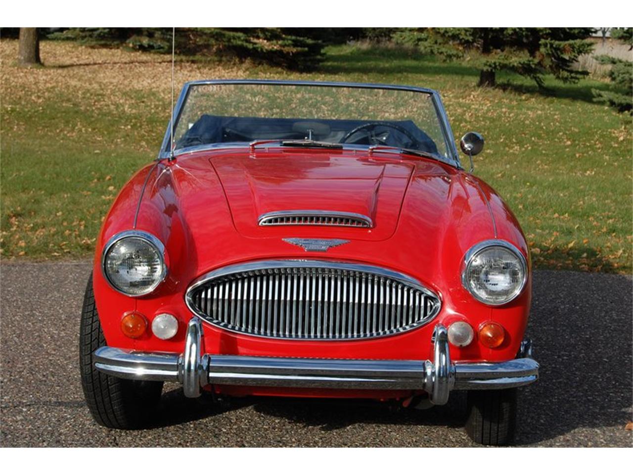 Austin Healey 3000 Mark III BJ8