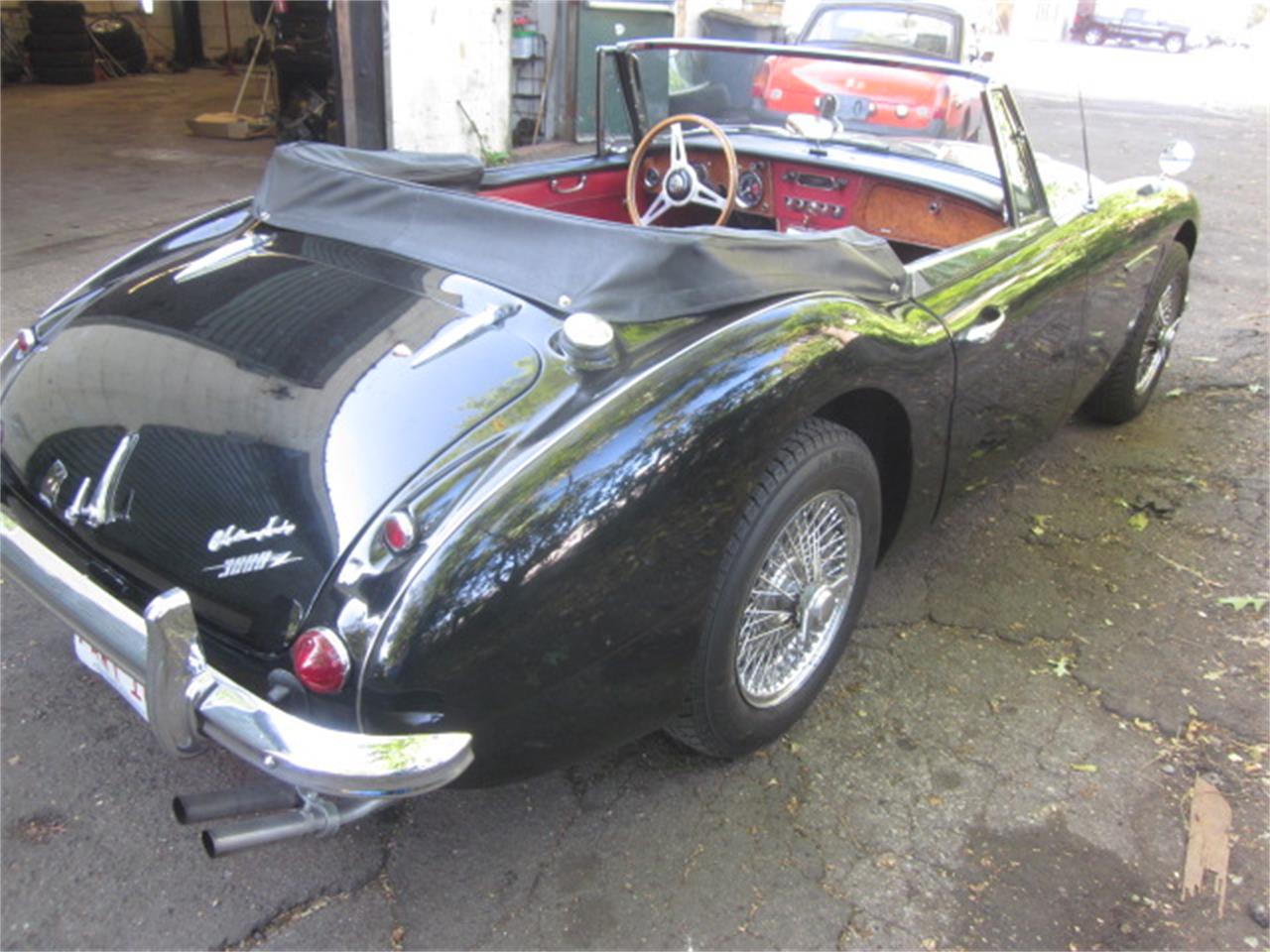 Austin Healey 3000 Mark III BJ8