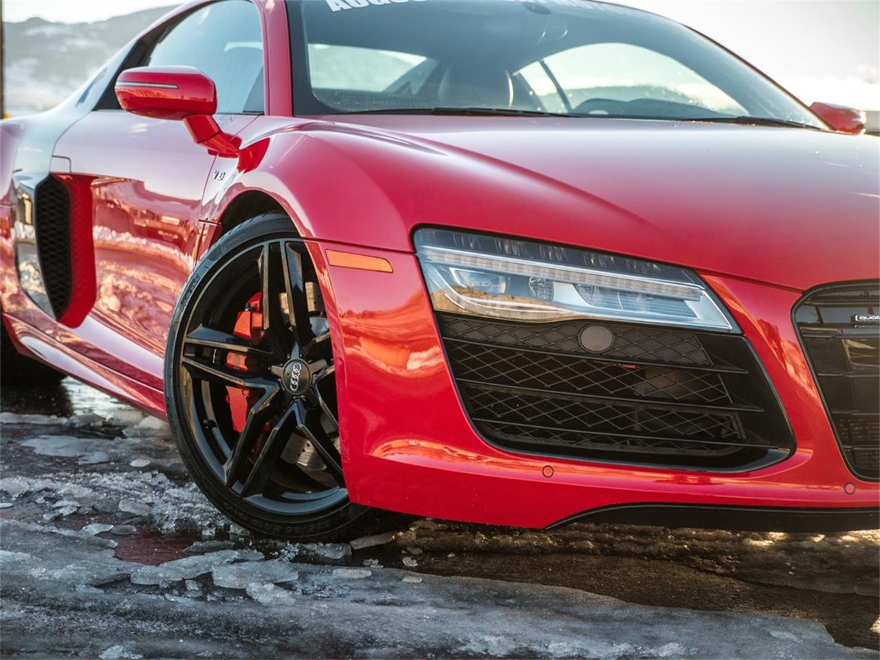 Audi R8