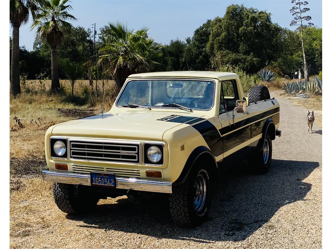 1977 International Terra