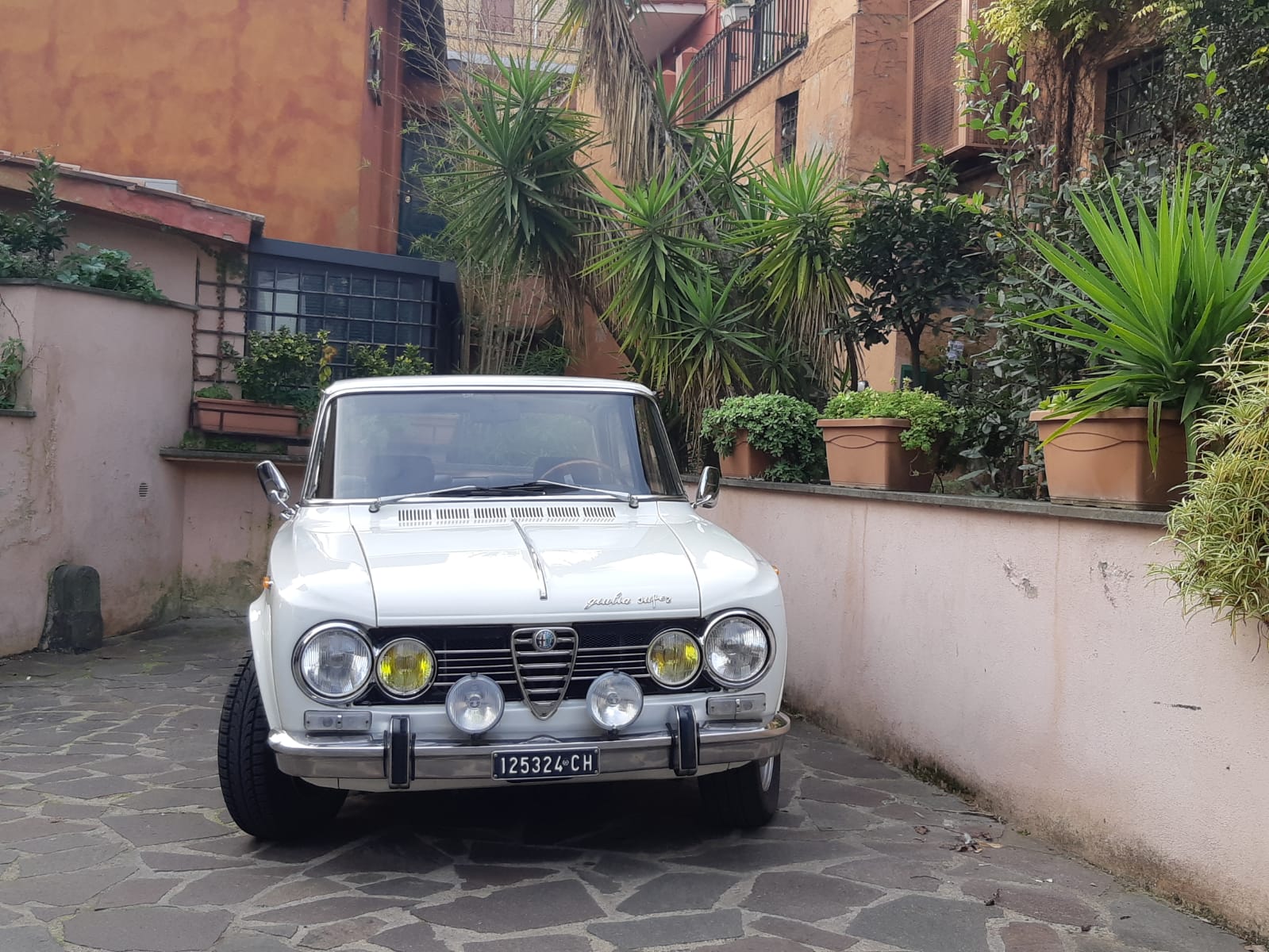 Alfa Romeo 105 Series Sedan 