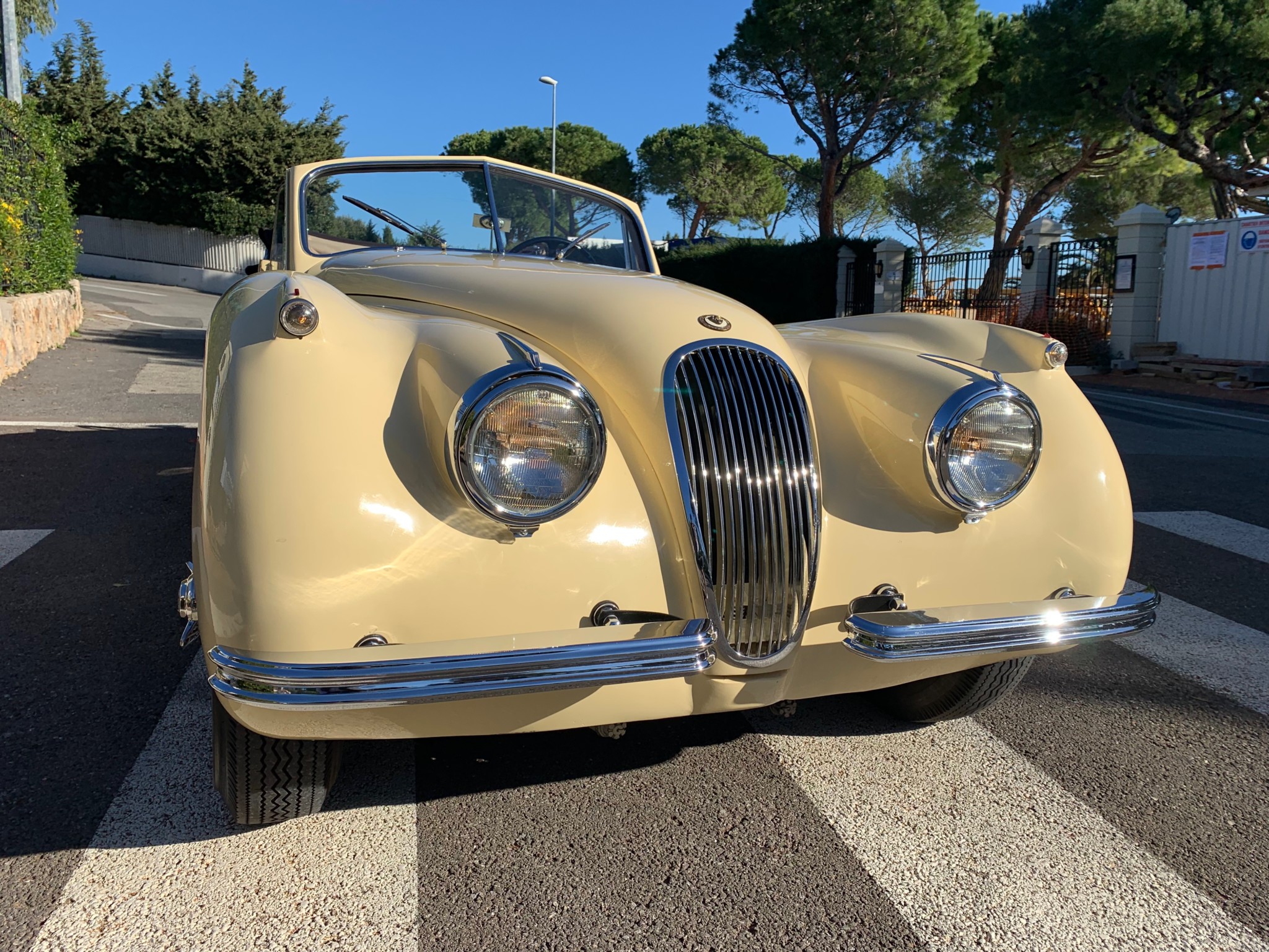 Jaguar XK120 