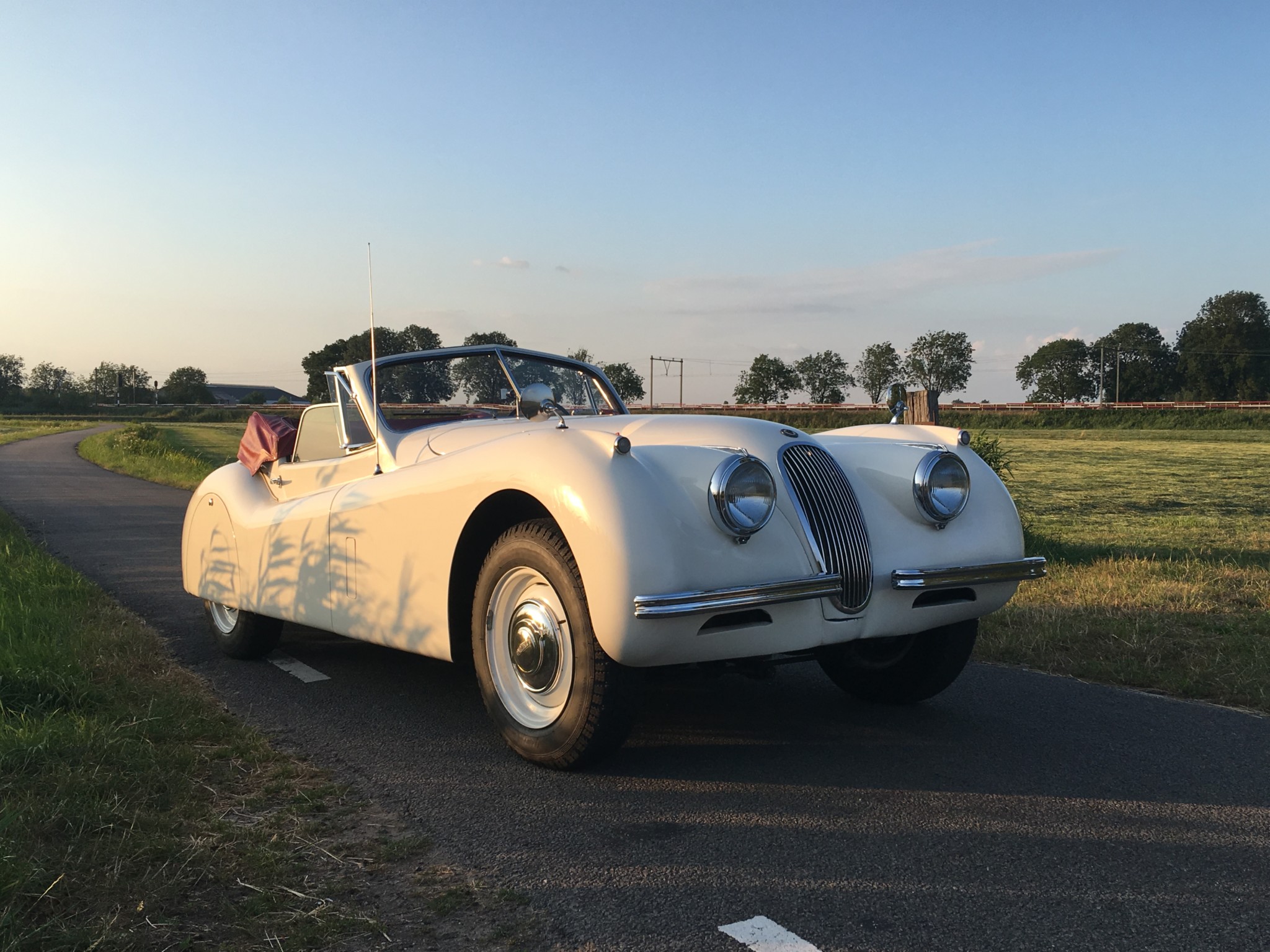 Jaguar XK120 