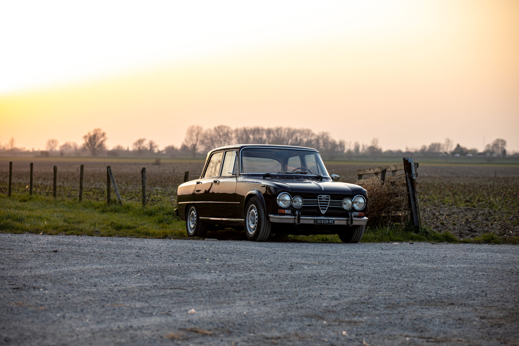 Alfa Romeo 105 Series Sedan 