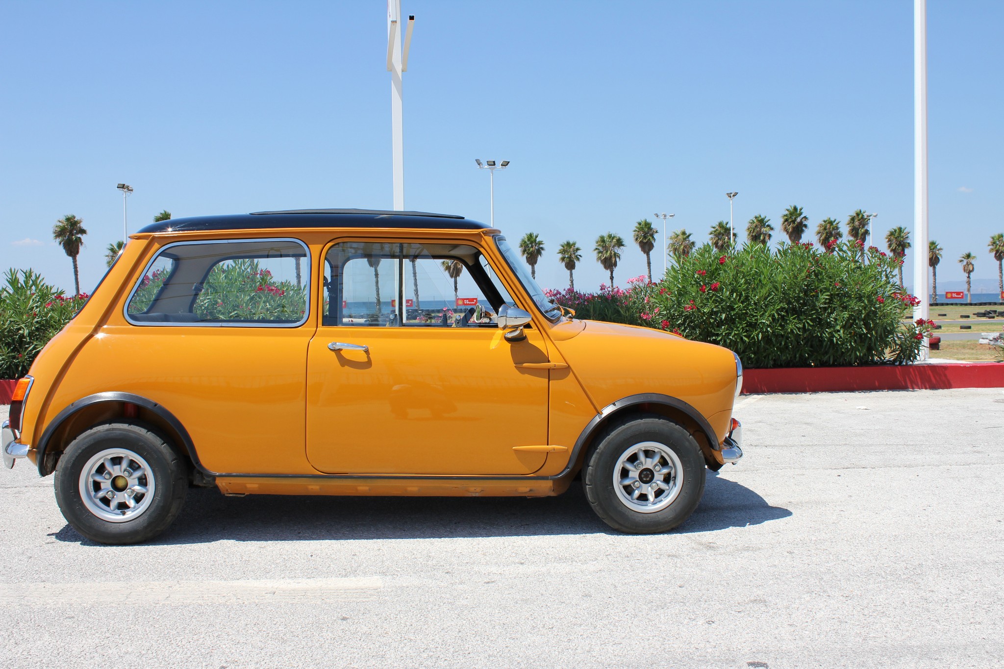 Mini Mk I-III Cooper 