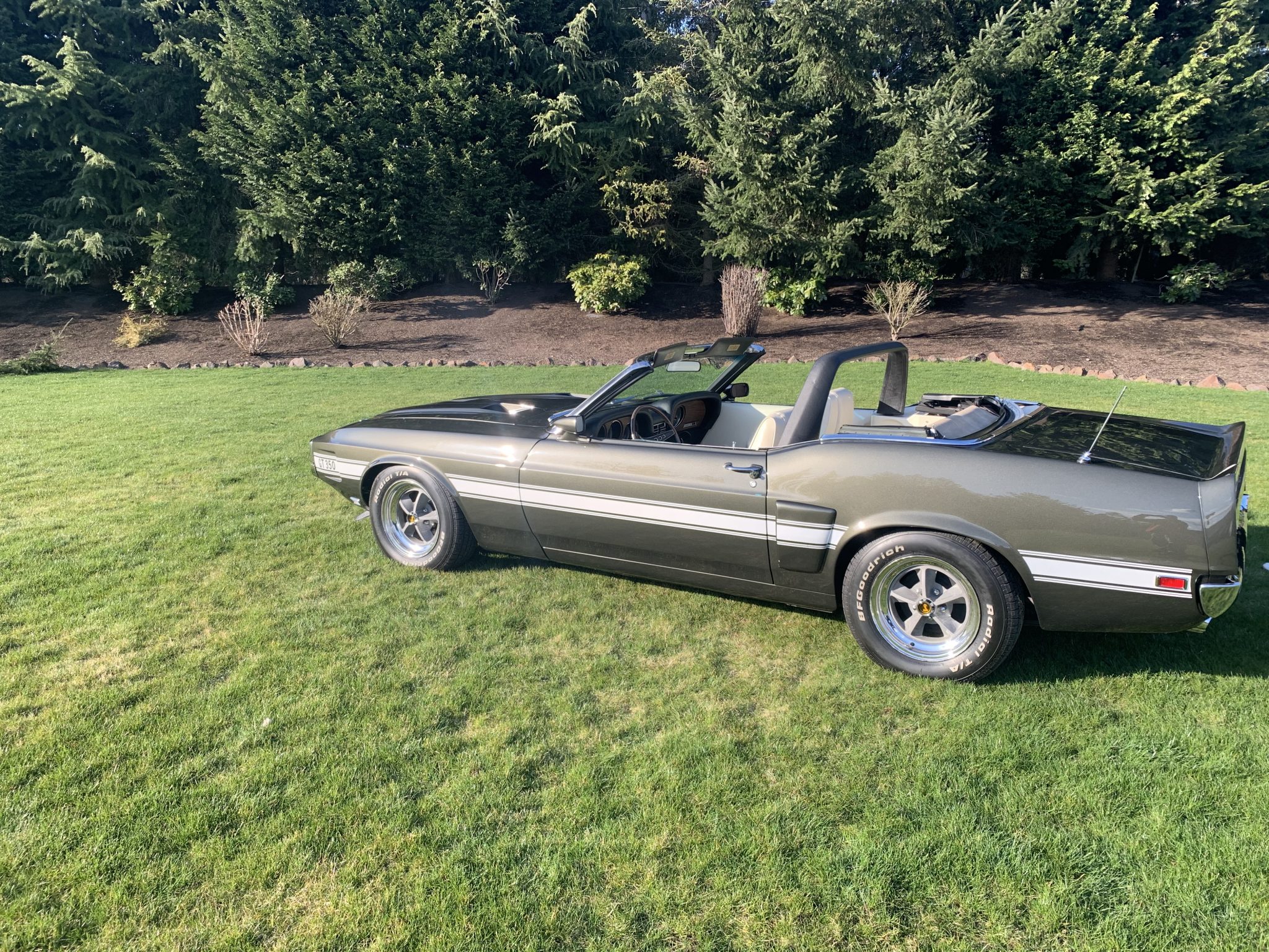 Shelby Mustang GT350 & GT500 