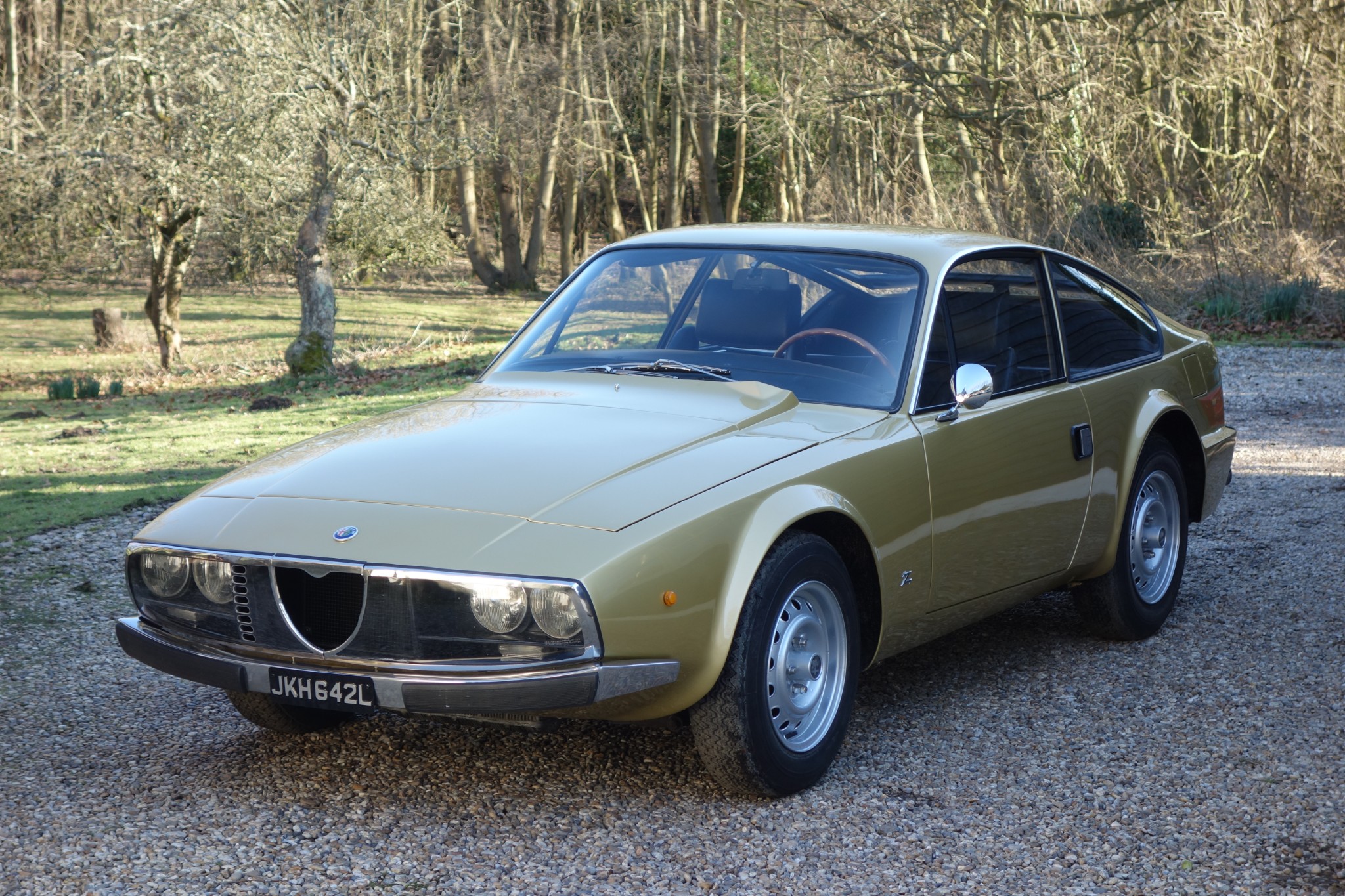 Alfa Romeo 105/115 Series Coupe 