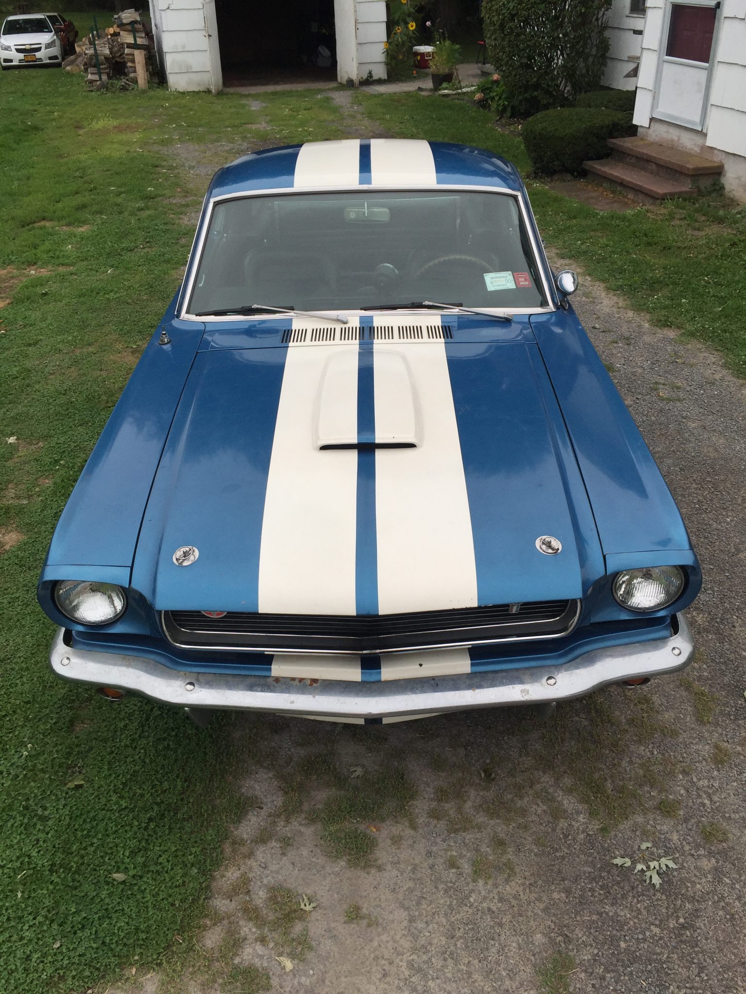 Shelby Mustang GT350 & GT500 