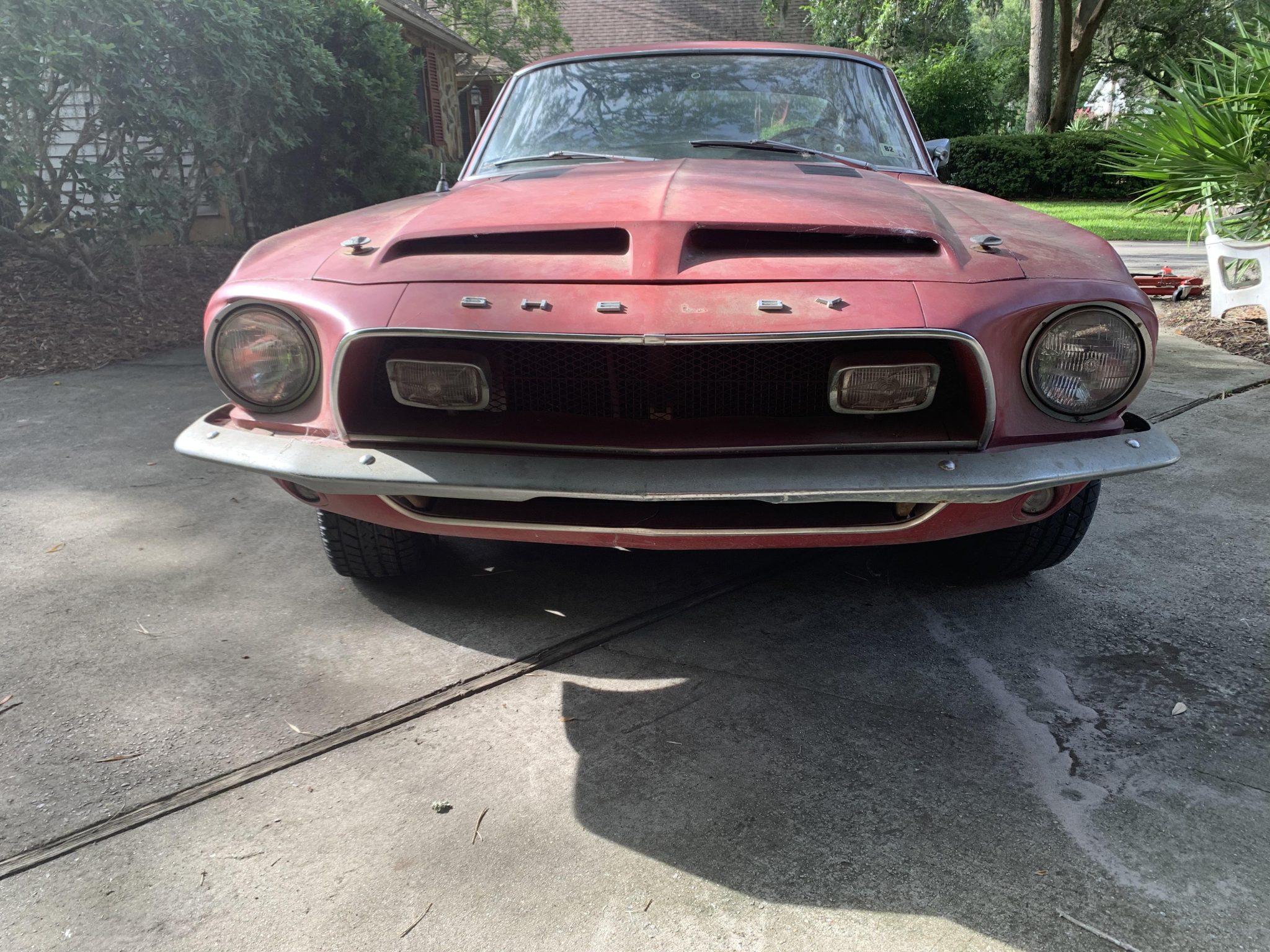 Shelby Mustang GT350 & GT500 