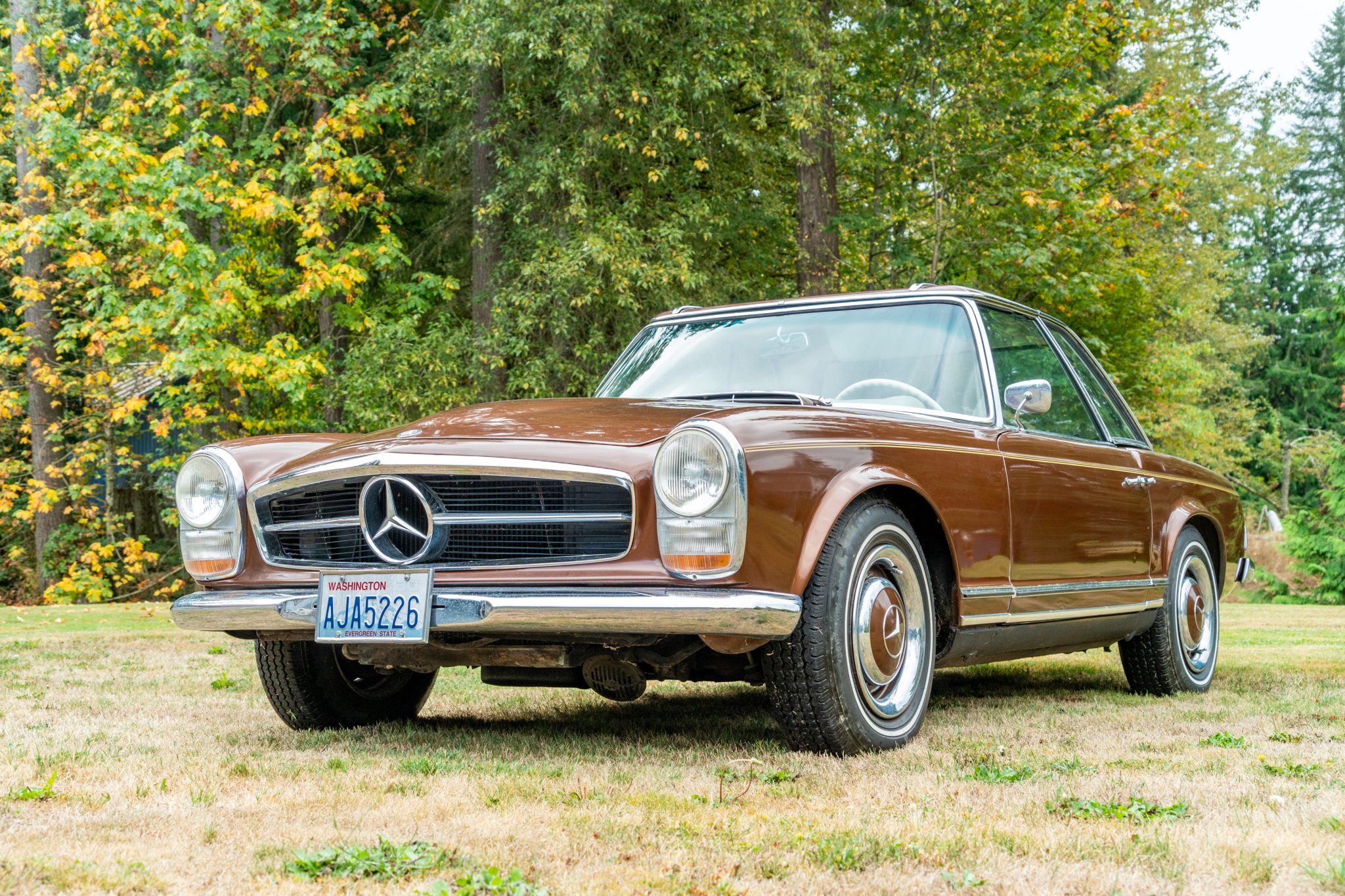 Mercedes-Benz W113 SL 