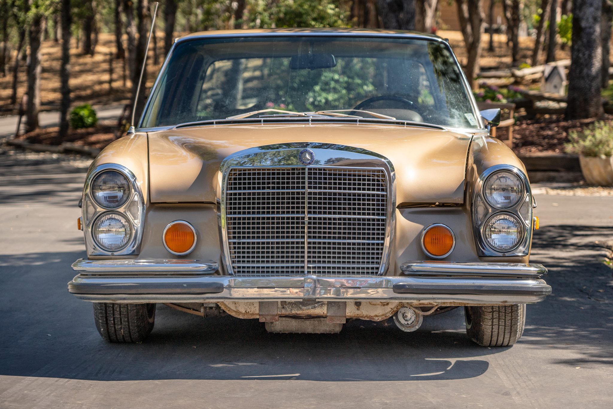 Mercedes-Benz W108 & W109 