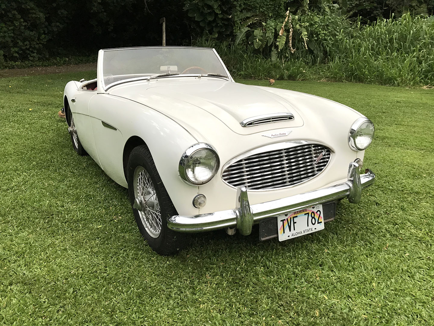 Austin-Healey 3000 