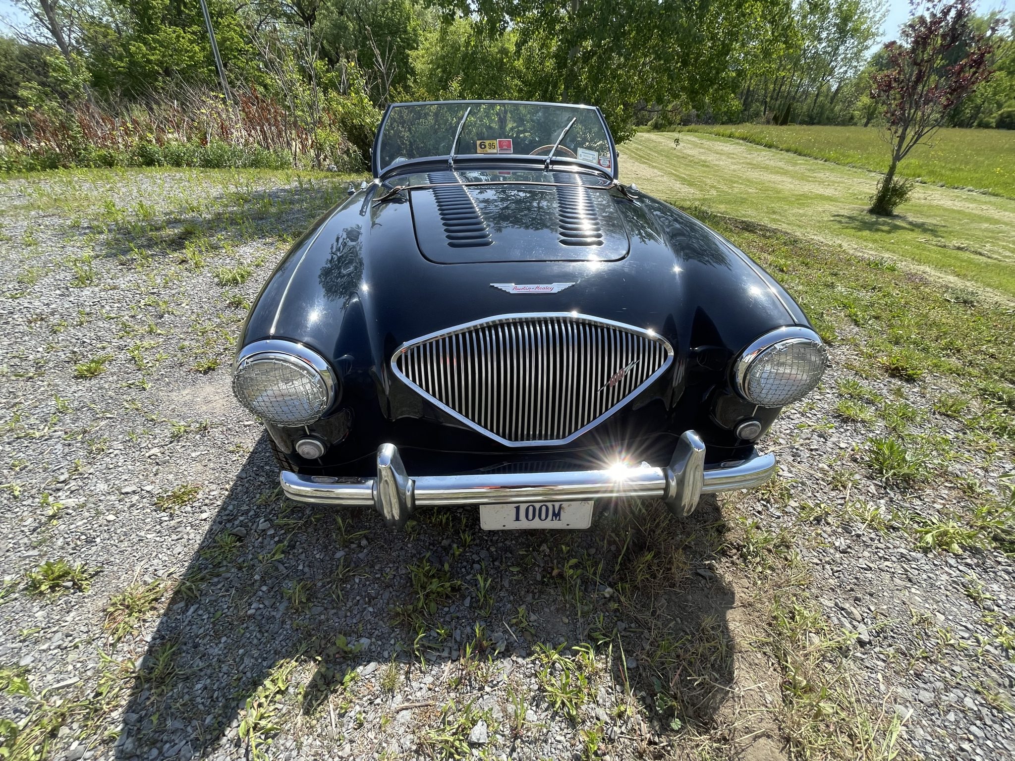 Austin-Healey 100 