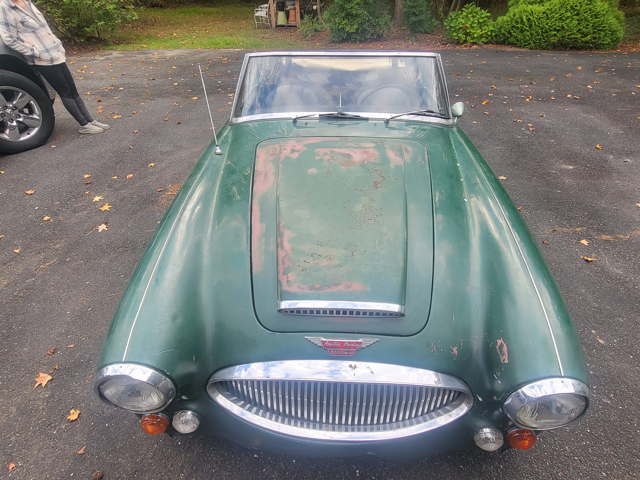 Austin-Healey 3000 