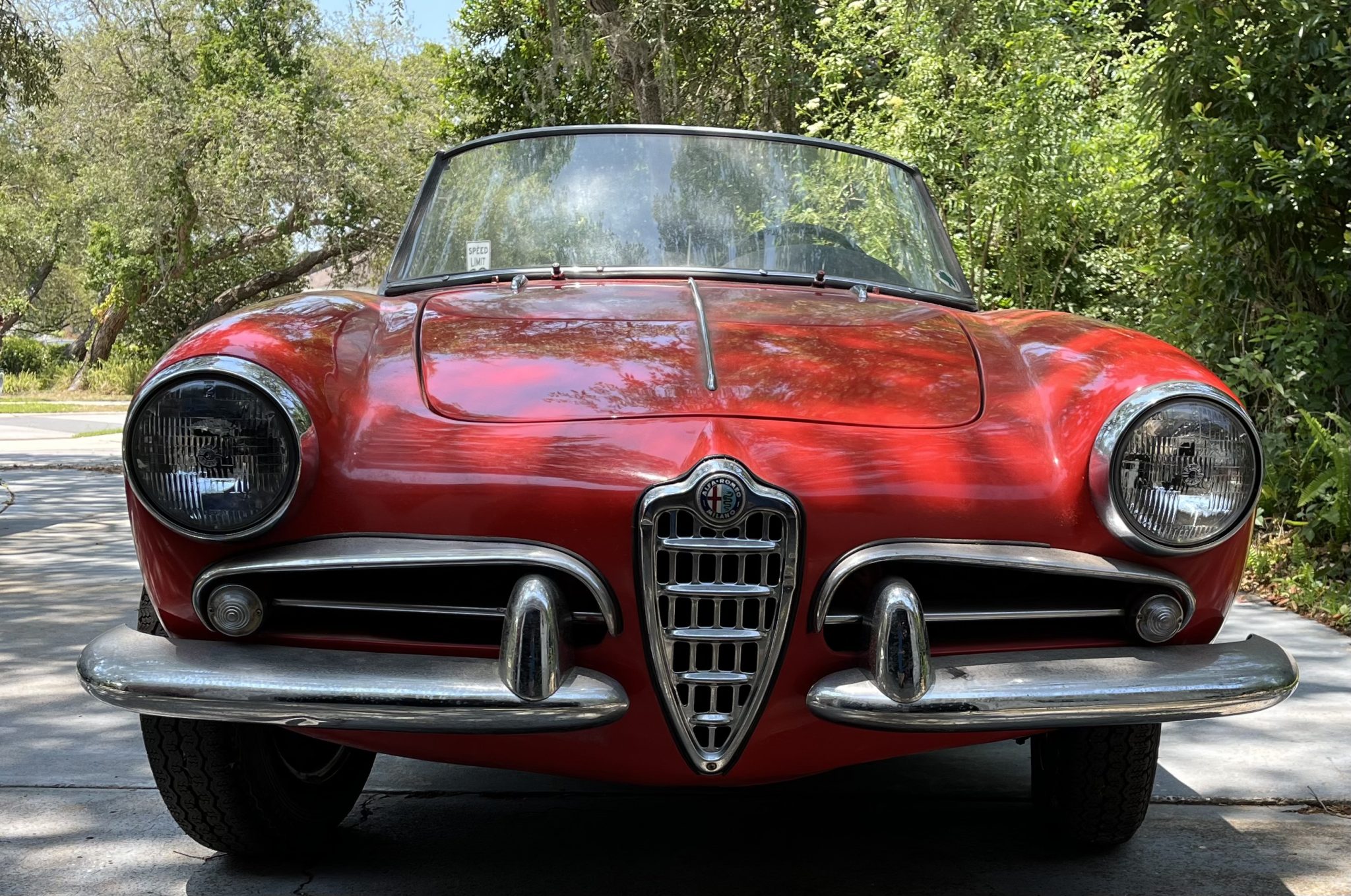 Alfa Romeo 750/101 Series Giulietta & Giulia 