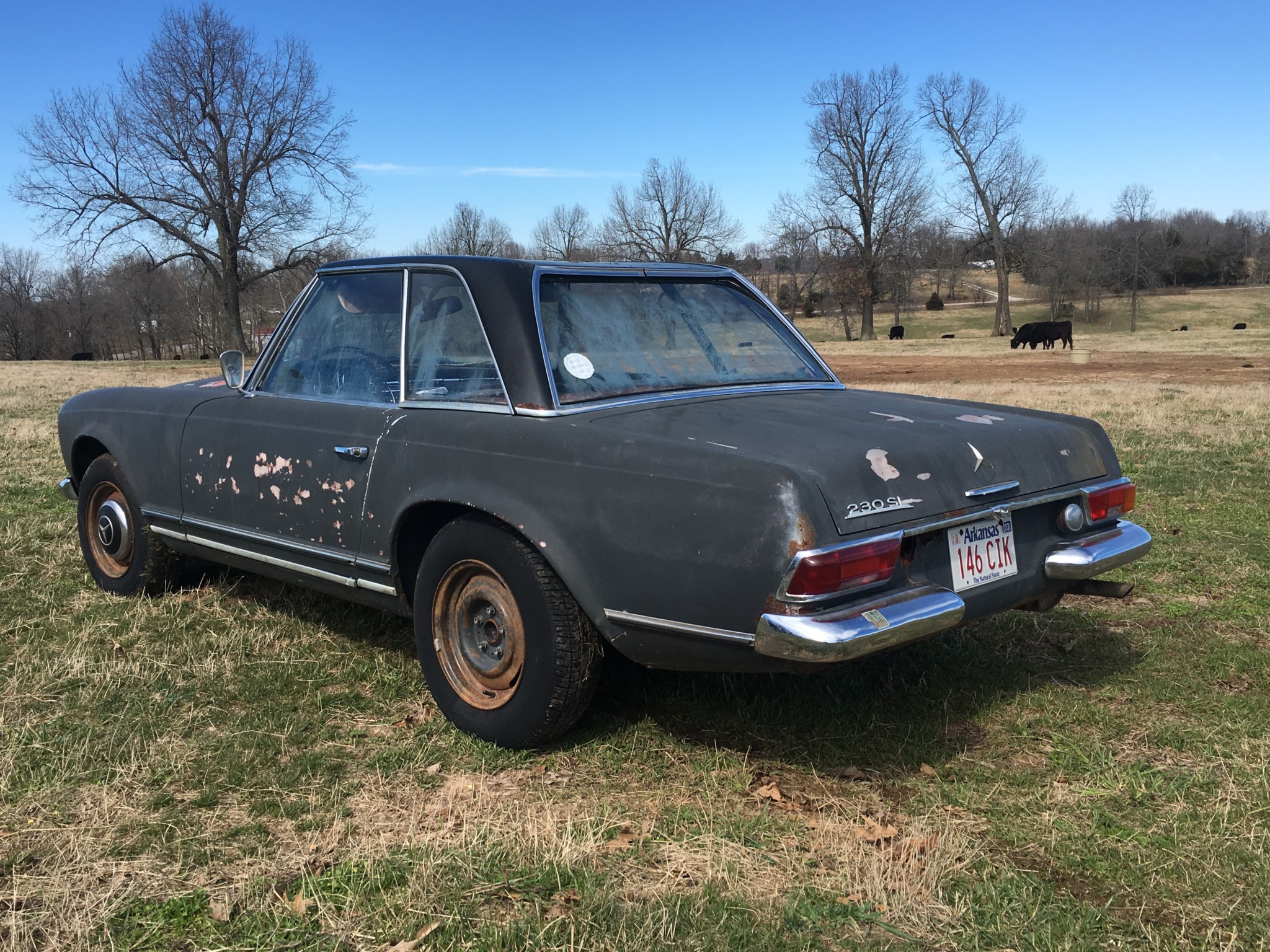 Mercedes-Benz W113 SL 