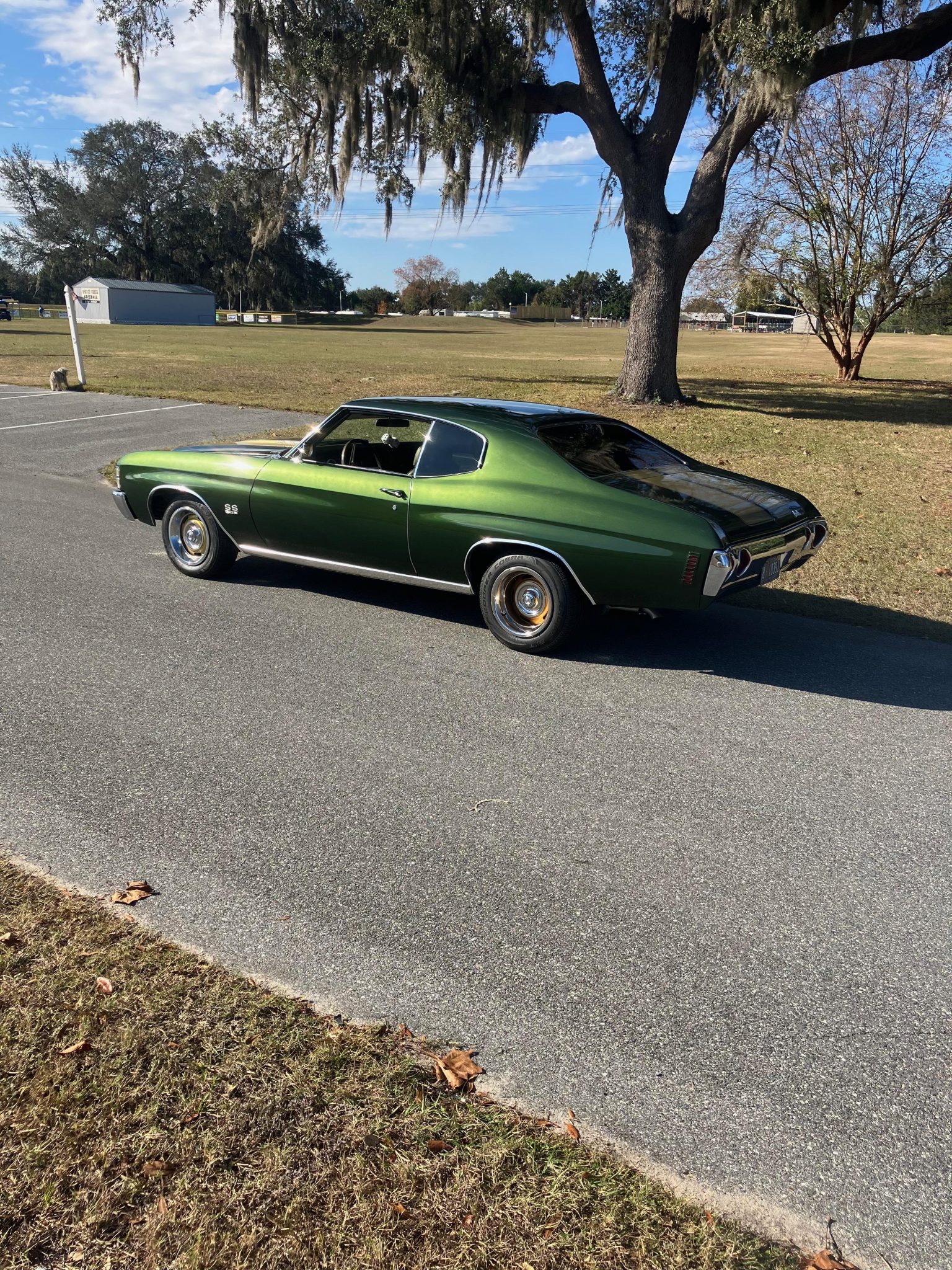 1971 Chevrolet Chevelle 