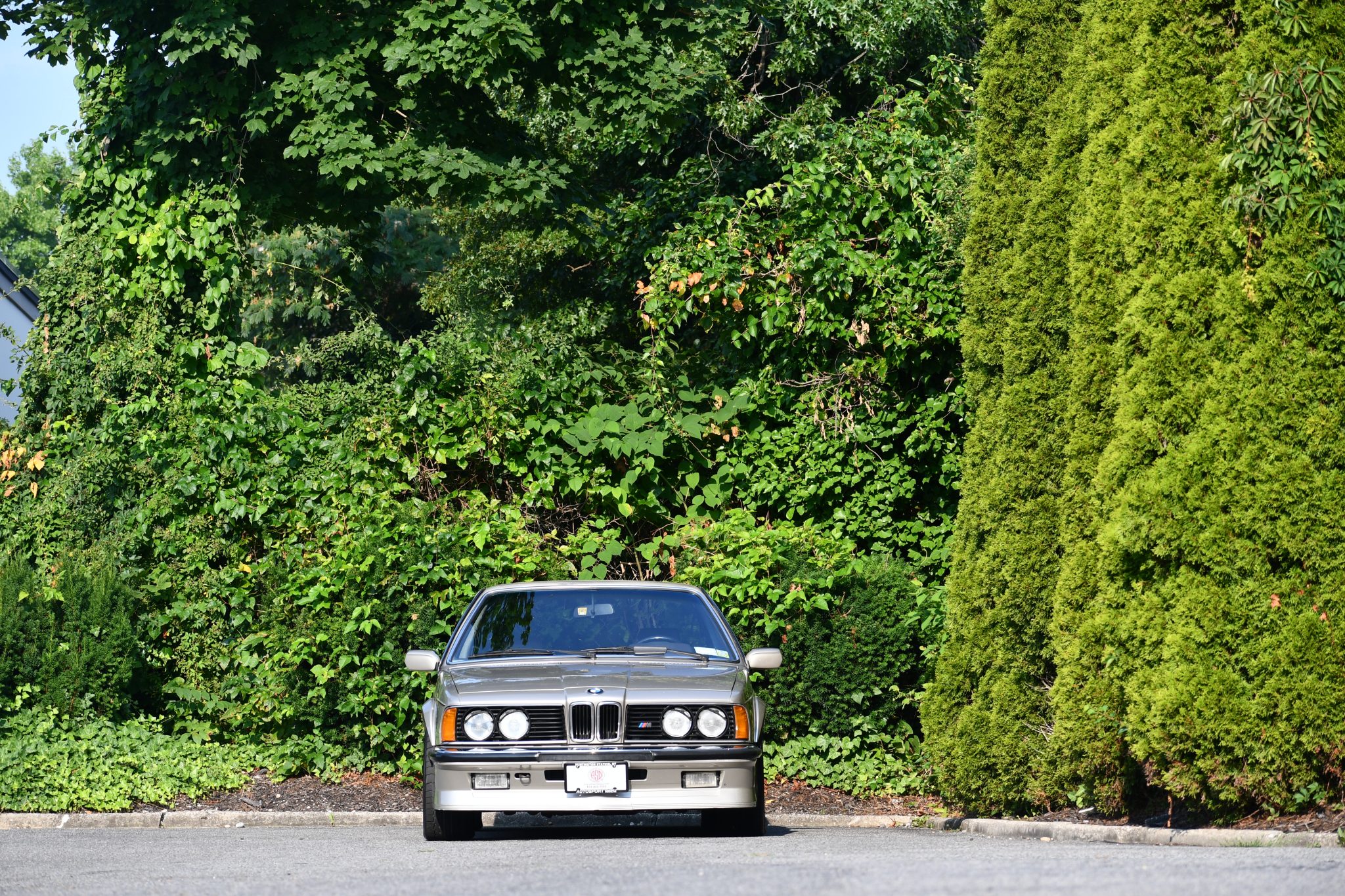 BMW E24 M6 & M635CSi 