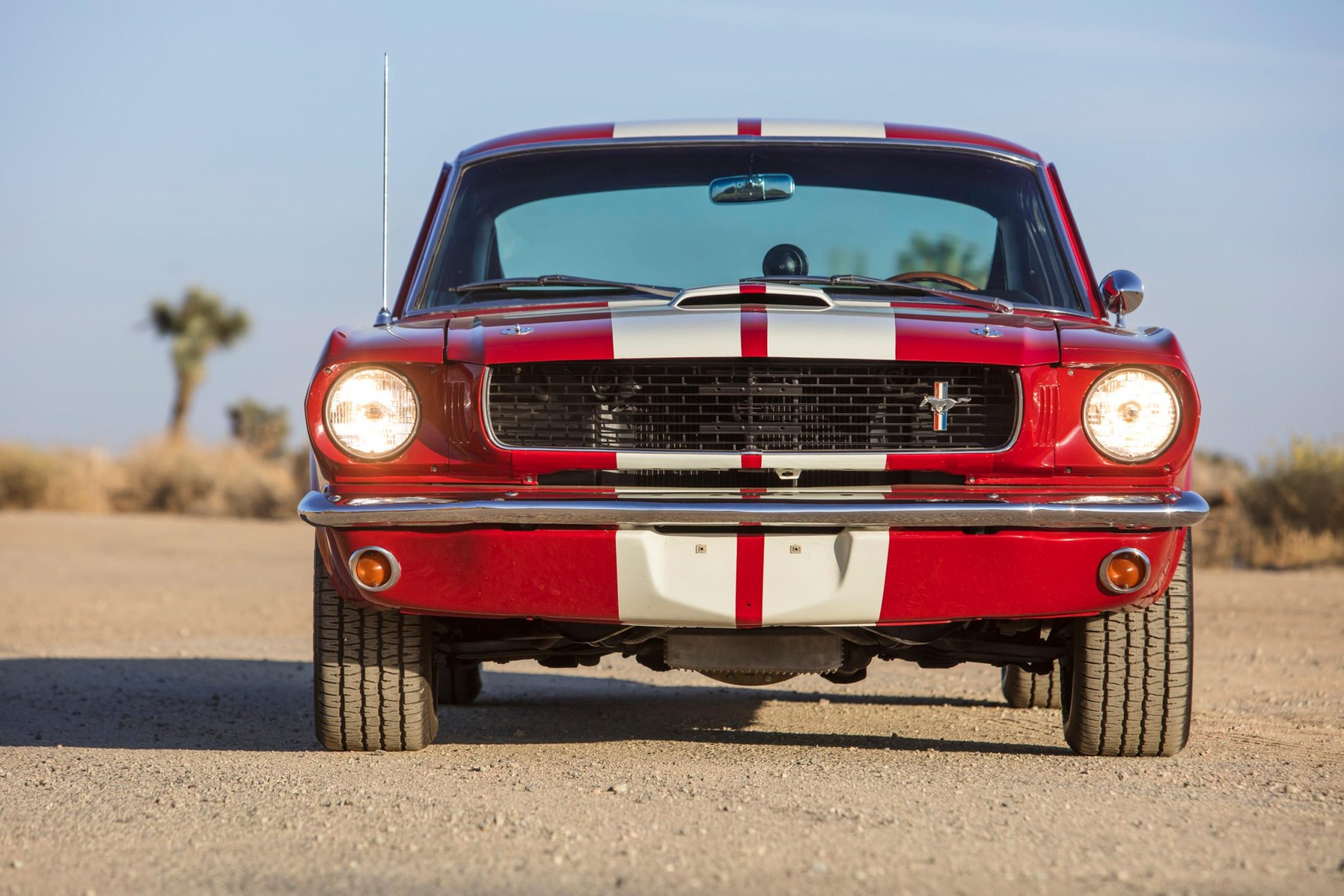 Shelby Mustang GT350 & GT500 